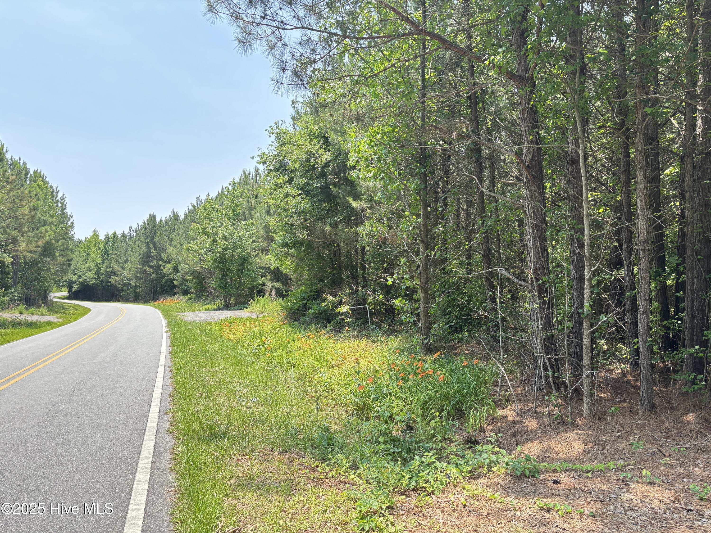 Lot 24 Buckhorn Church Road Property Photo 11