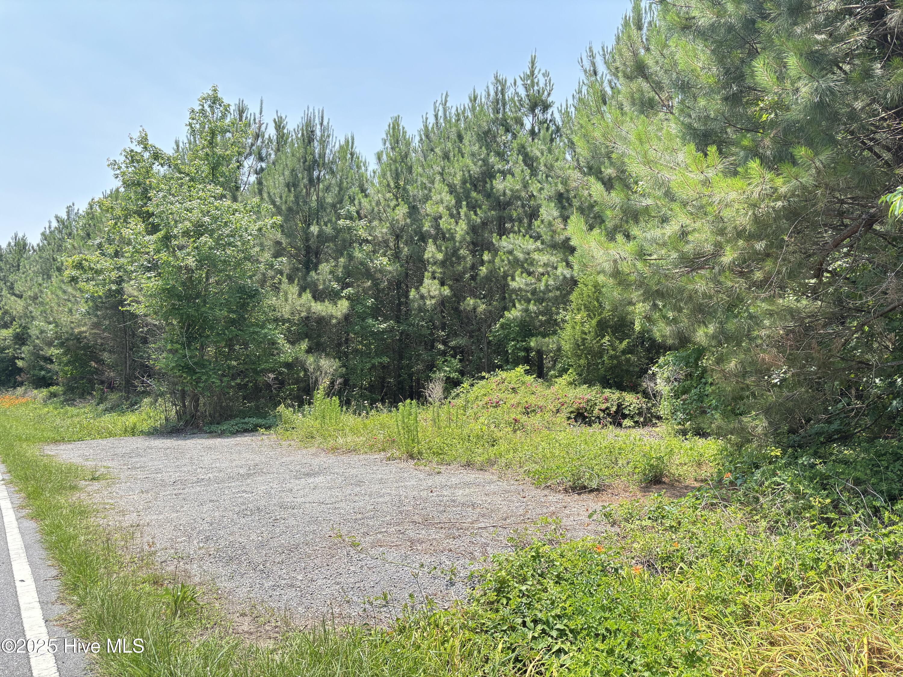 Lot 24 Buckhorn Church Road Property Photo 12