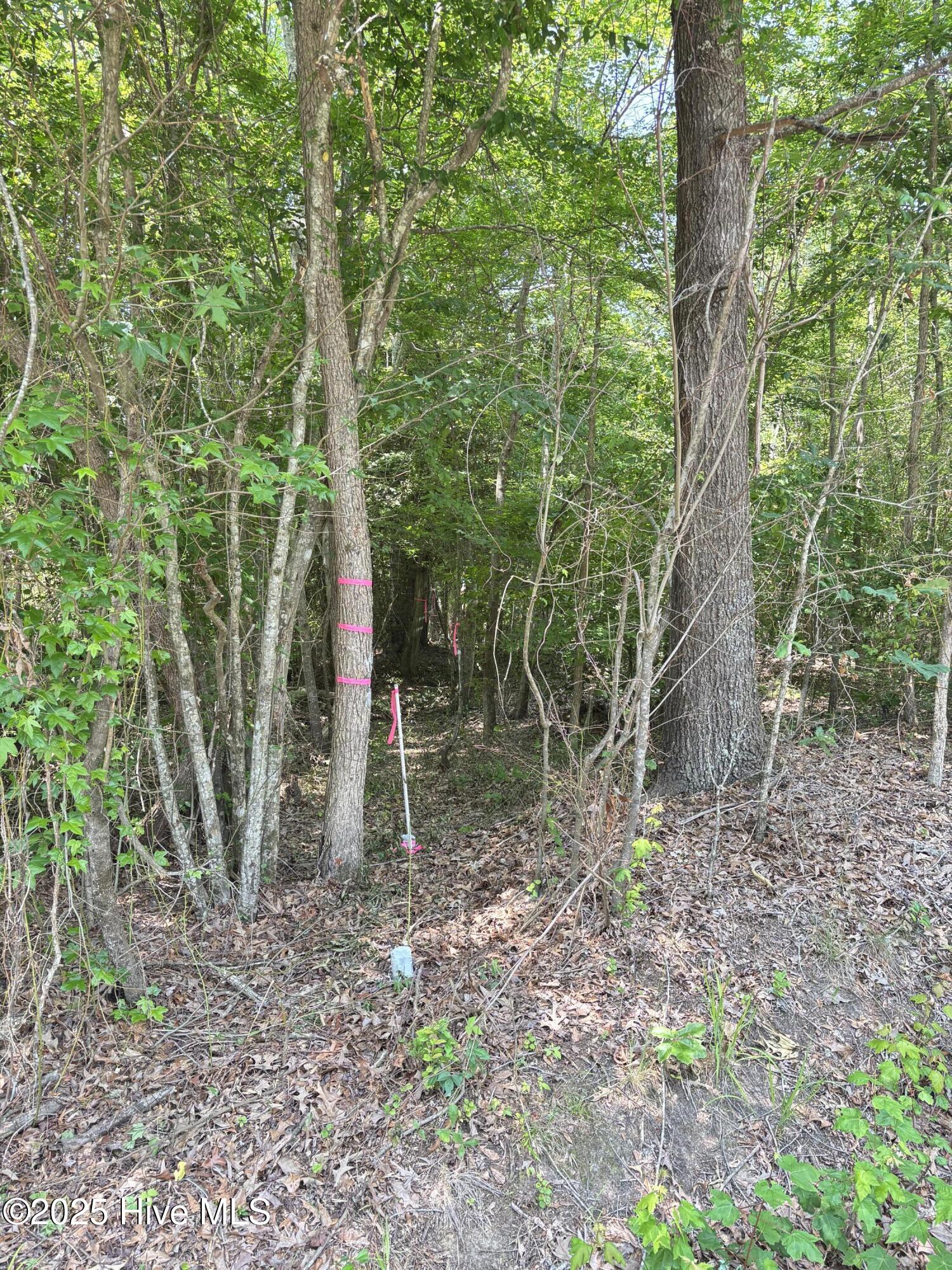 Lot 25 Buckhorn Church Road Property Photo 1