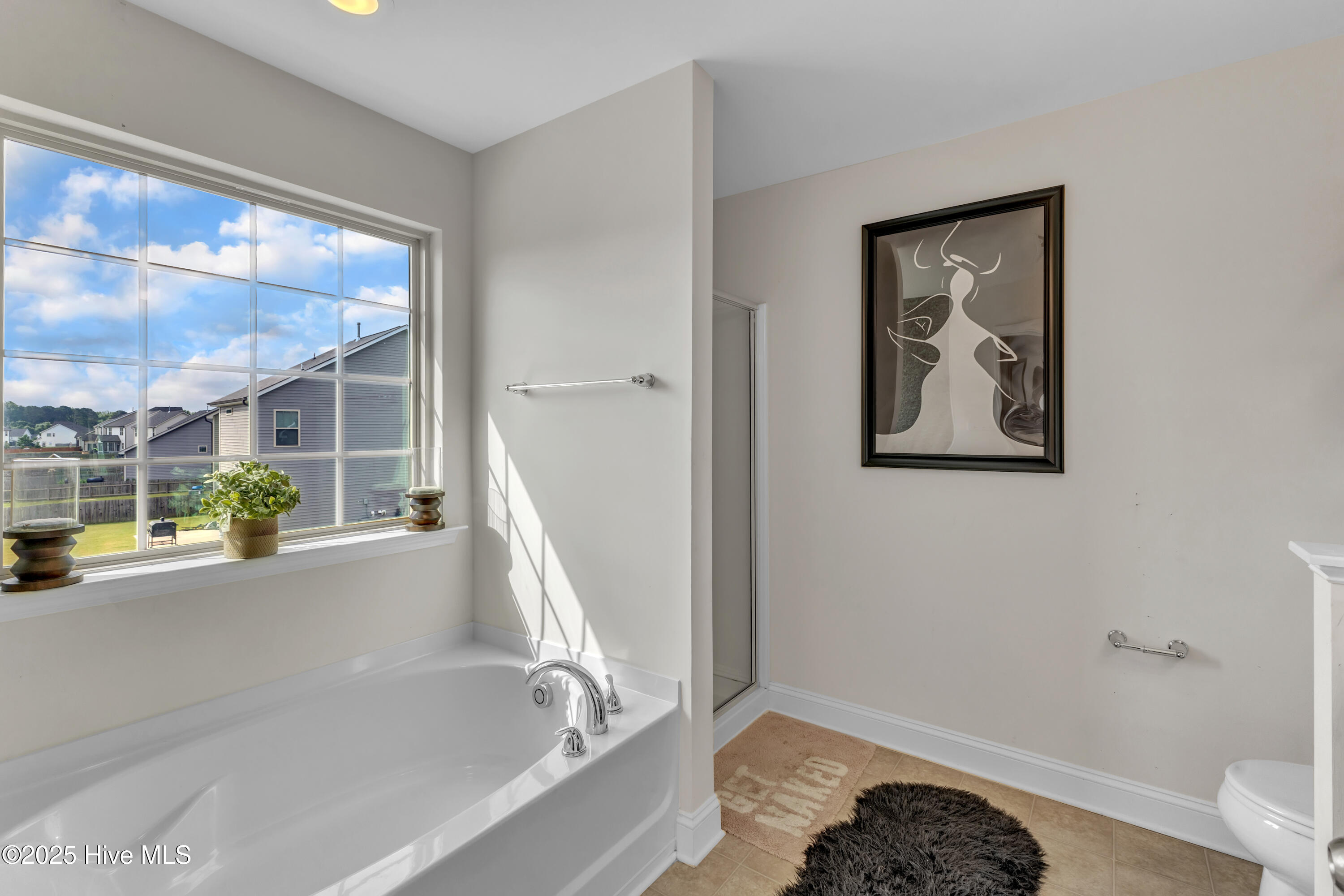 525 Willow Breeze Court Property Photo 31