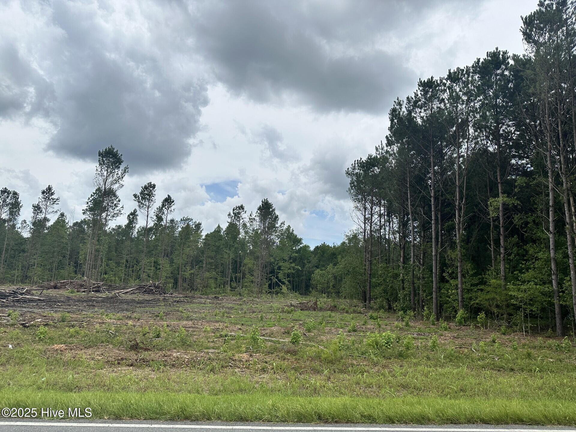 1381 Bill Hooks Road Property Photo 3