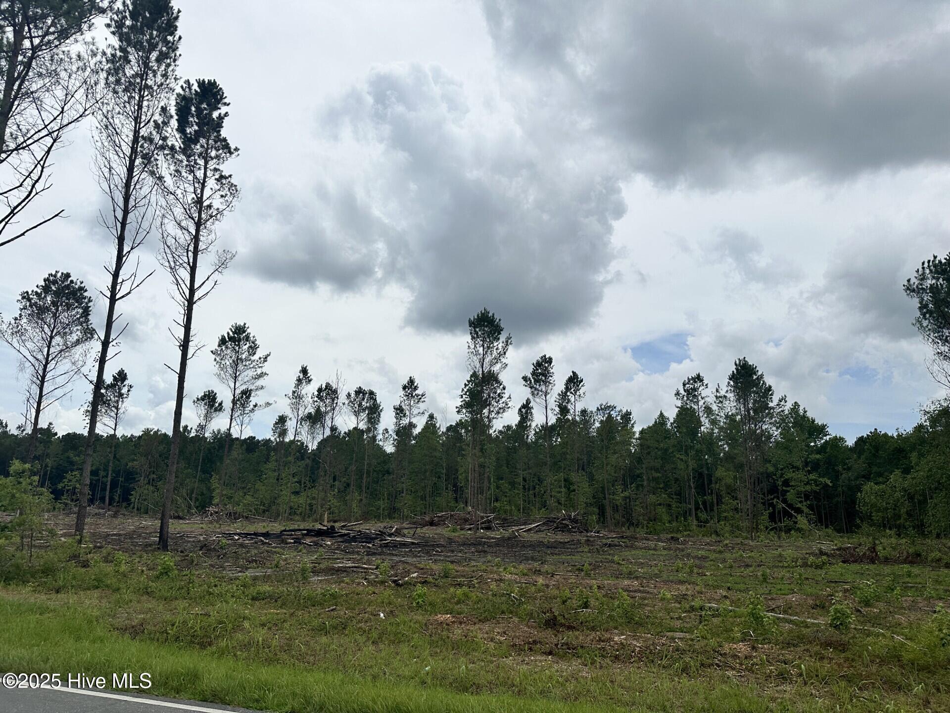 1381 Bill Hooks Road Property Photo 5