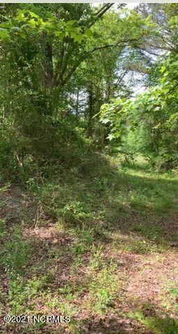 Tbd W Hamlet Avenue Property Photo 1