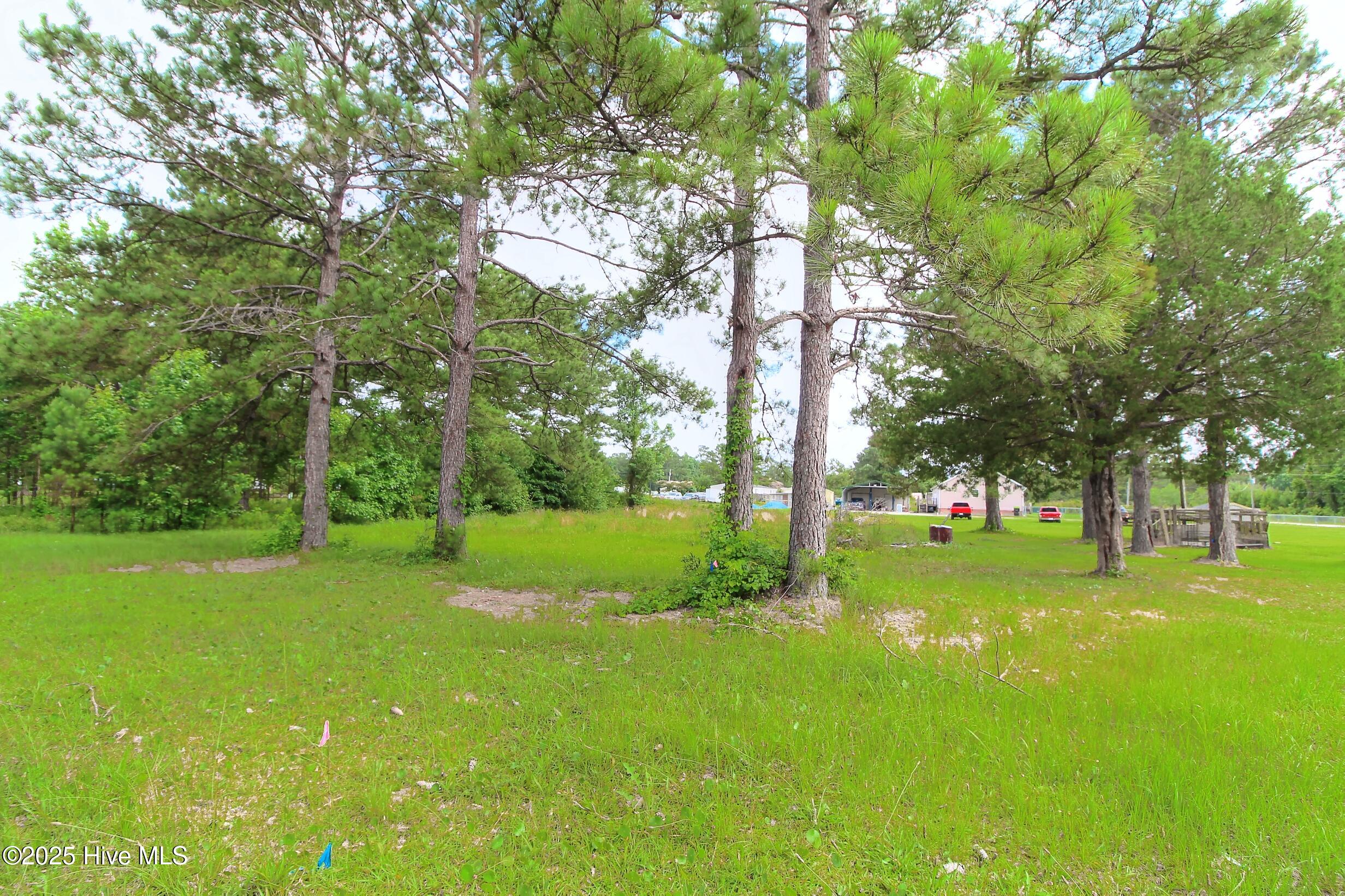 455 Candlewood Court