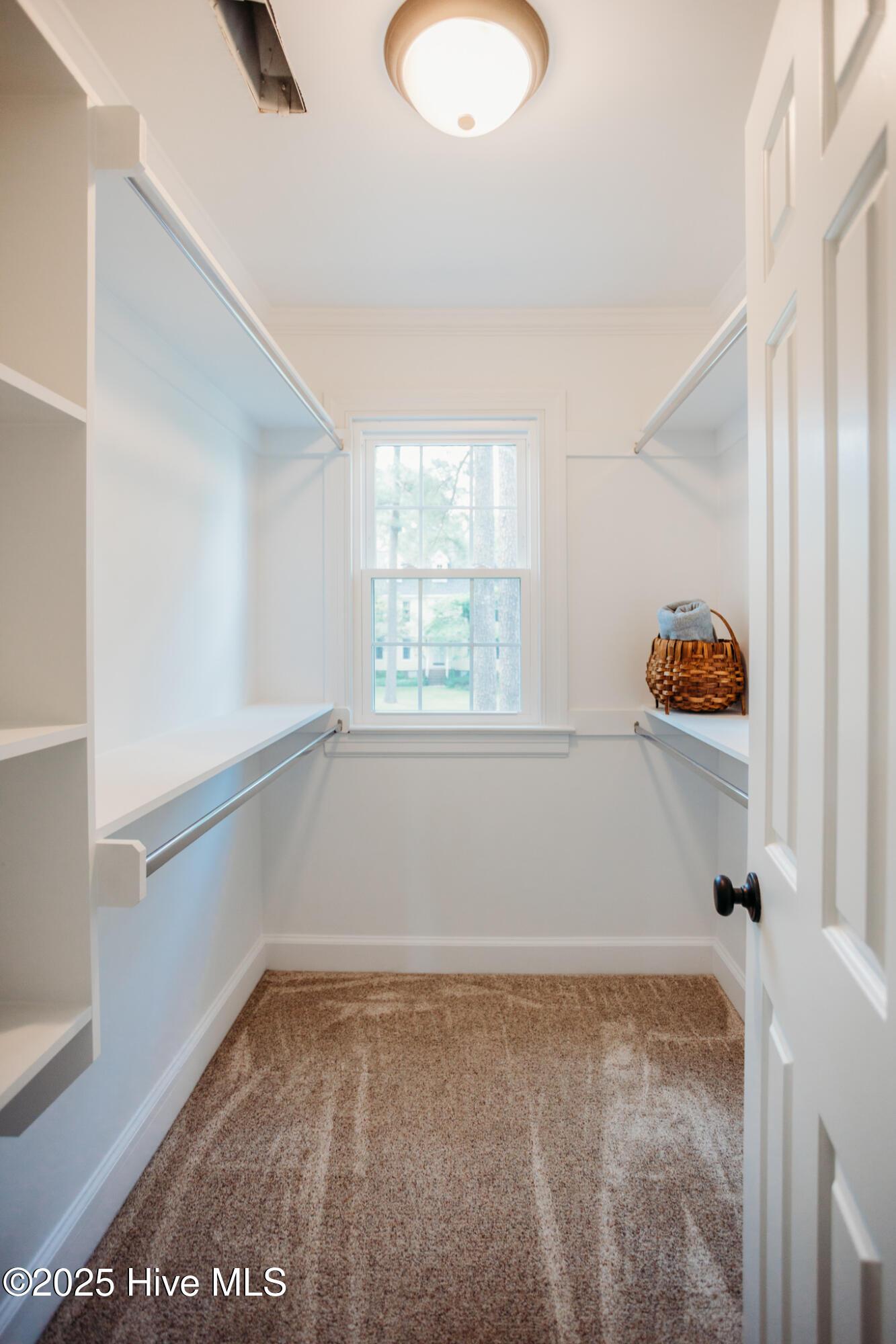 1702 Chamberlain Drive Property Photo 19