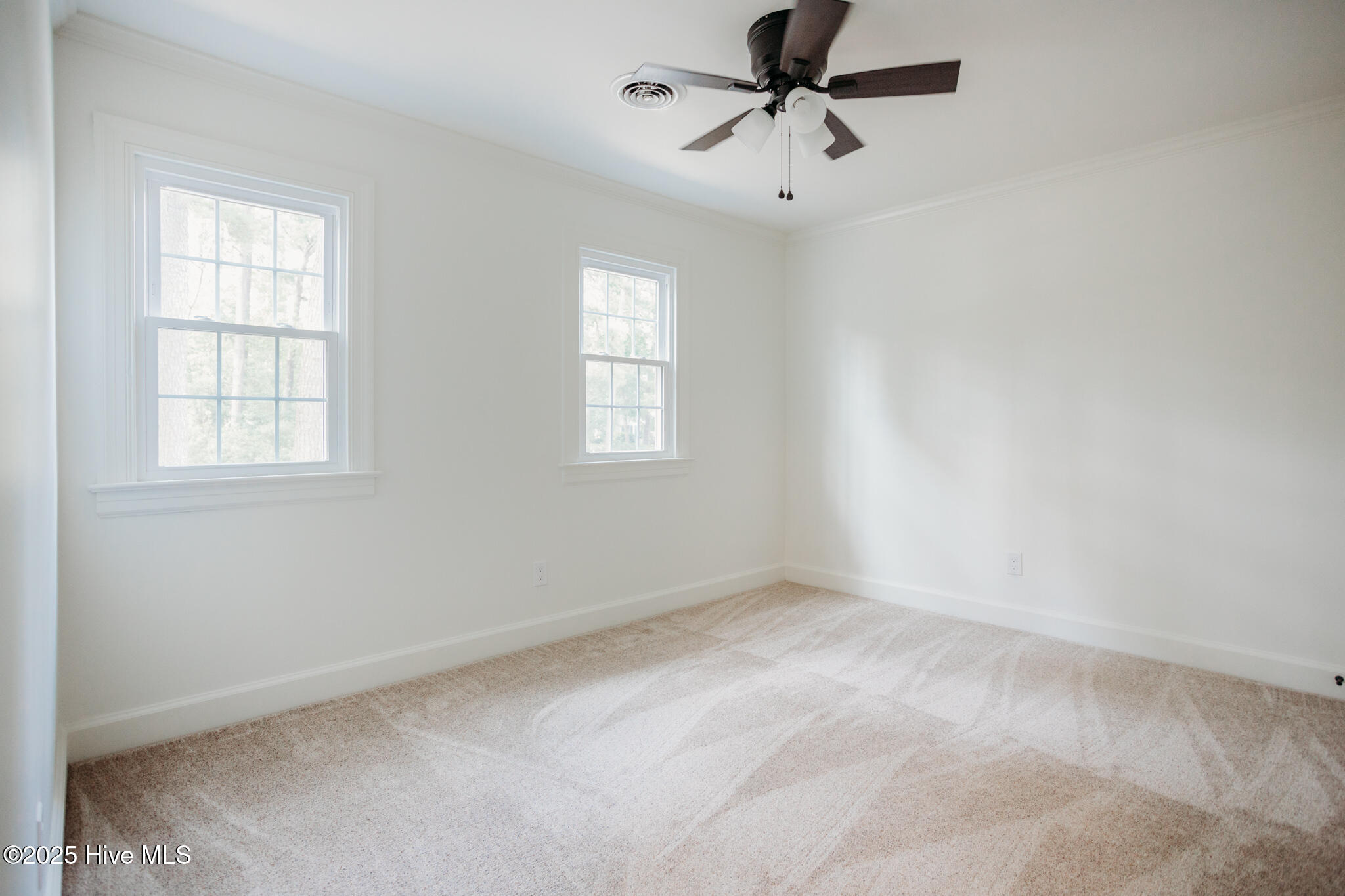 1702 Chamberlain Drive Property Photo 23