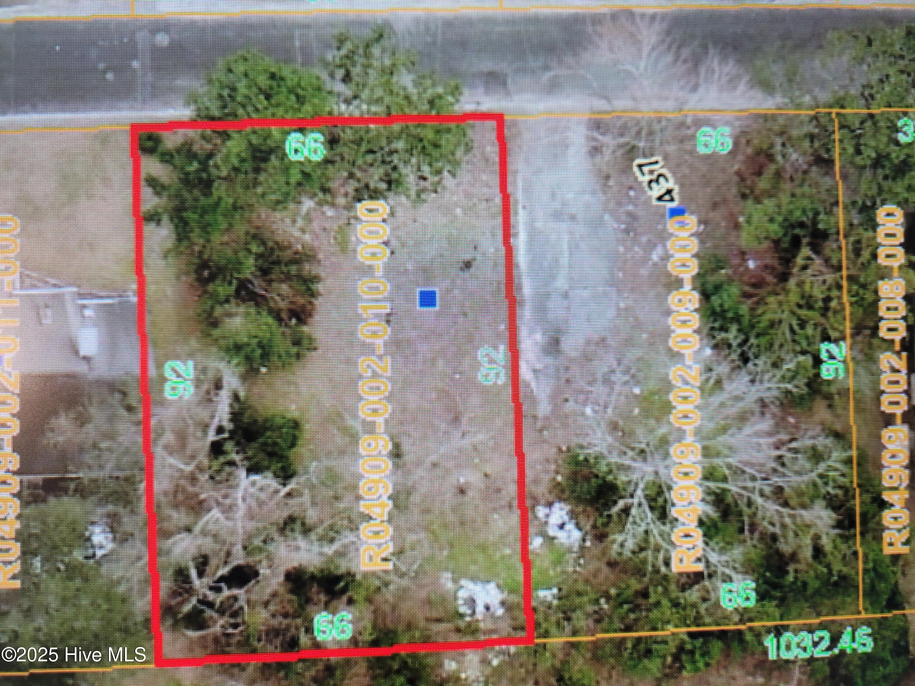 441 Evans Street Property Photo 1