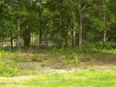 1943 Redfish Run Property Photo 1