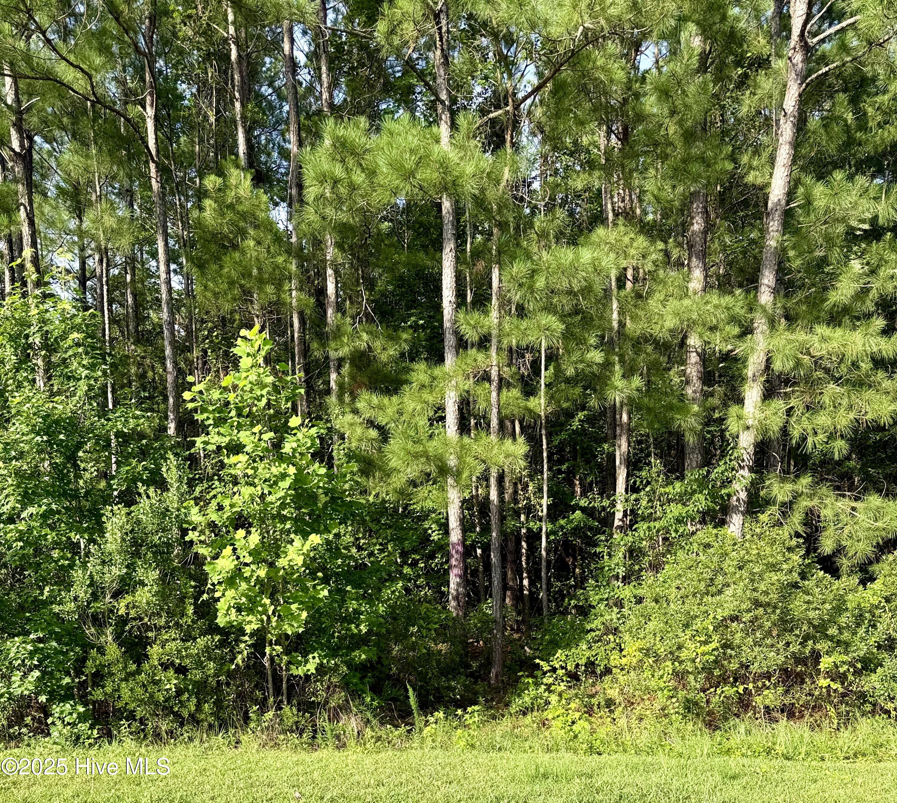 111 Marie Court Property Photo 1