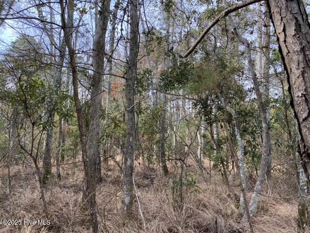 00000 Wades Point Rd Property Photo 2