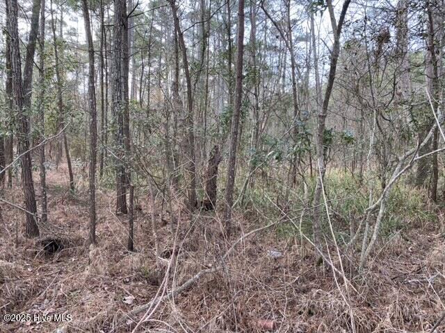 00000 Wades Point Rd Property Photo 6