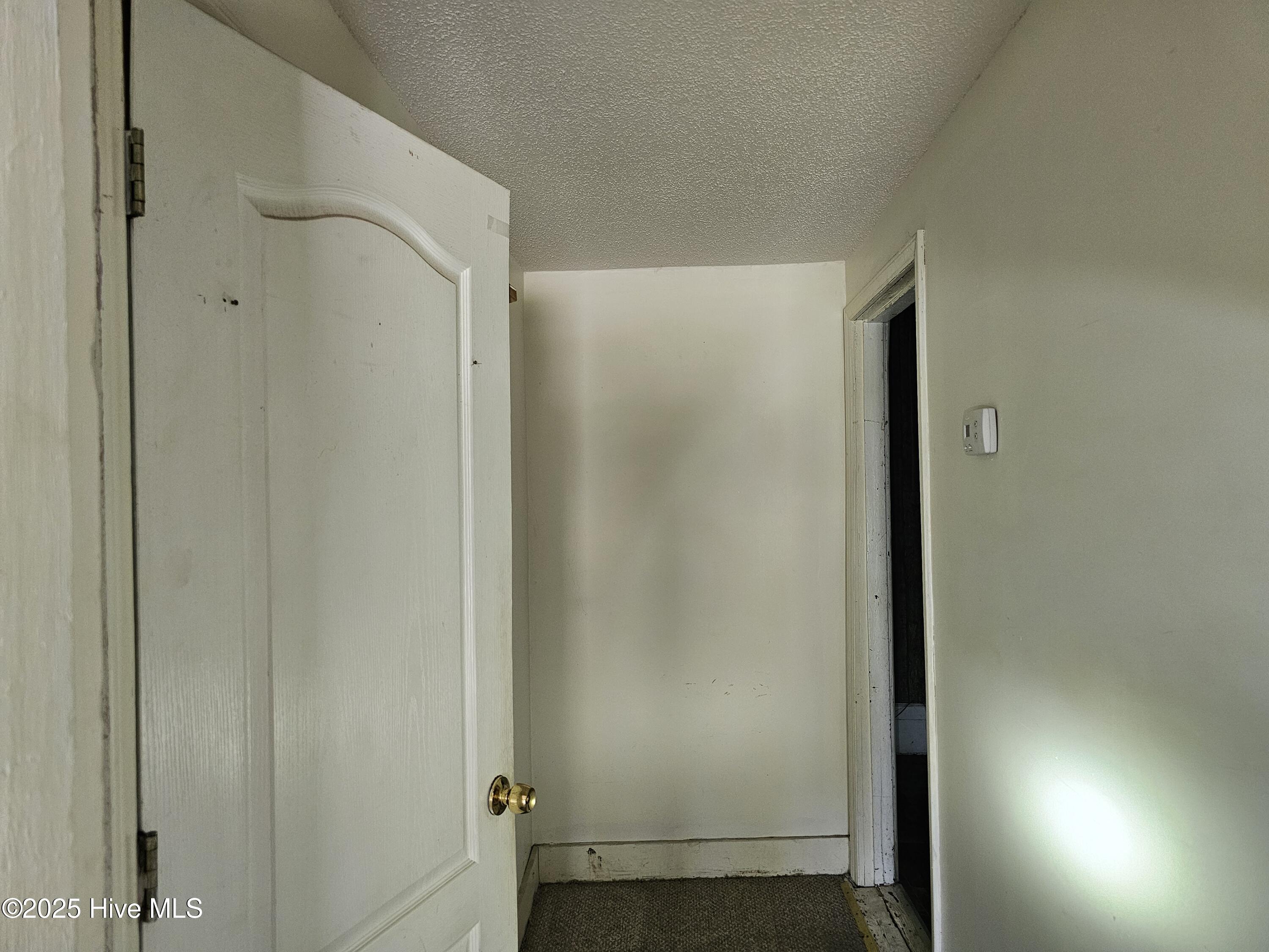 206 & 208 Parsley Street Property Photo 5