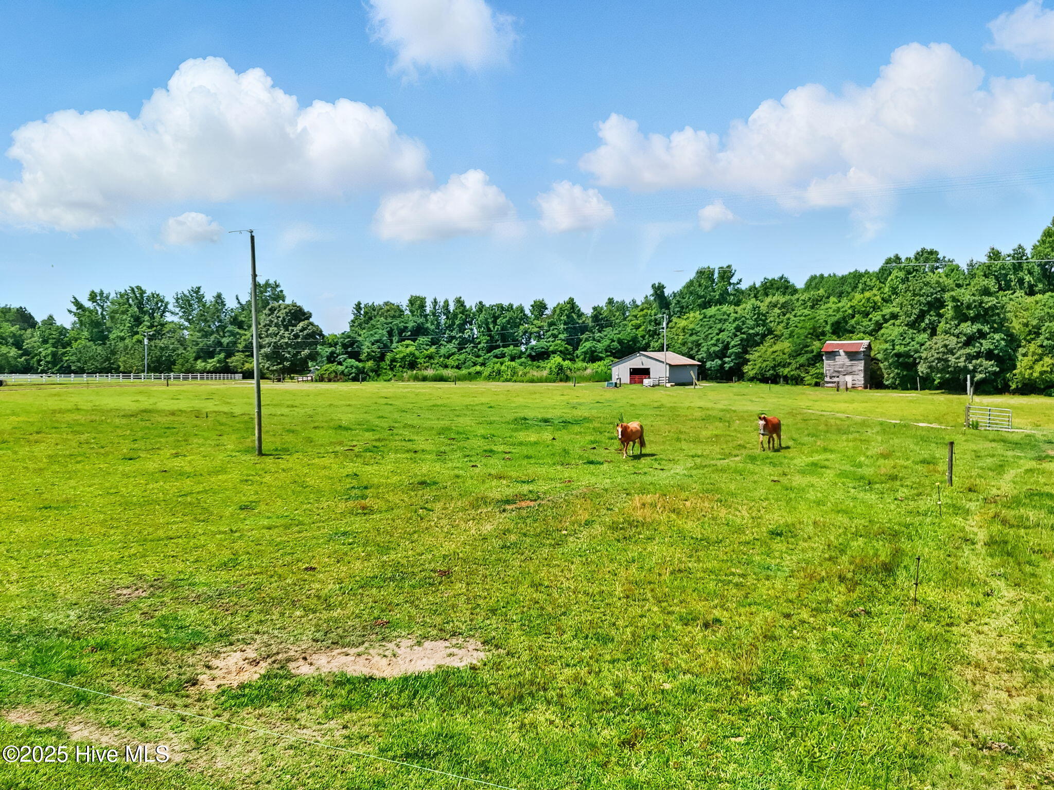 2620 Nahunta Road Property Photo 30