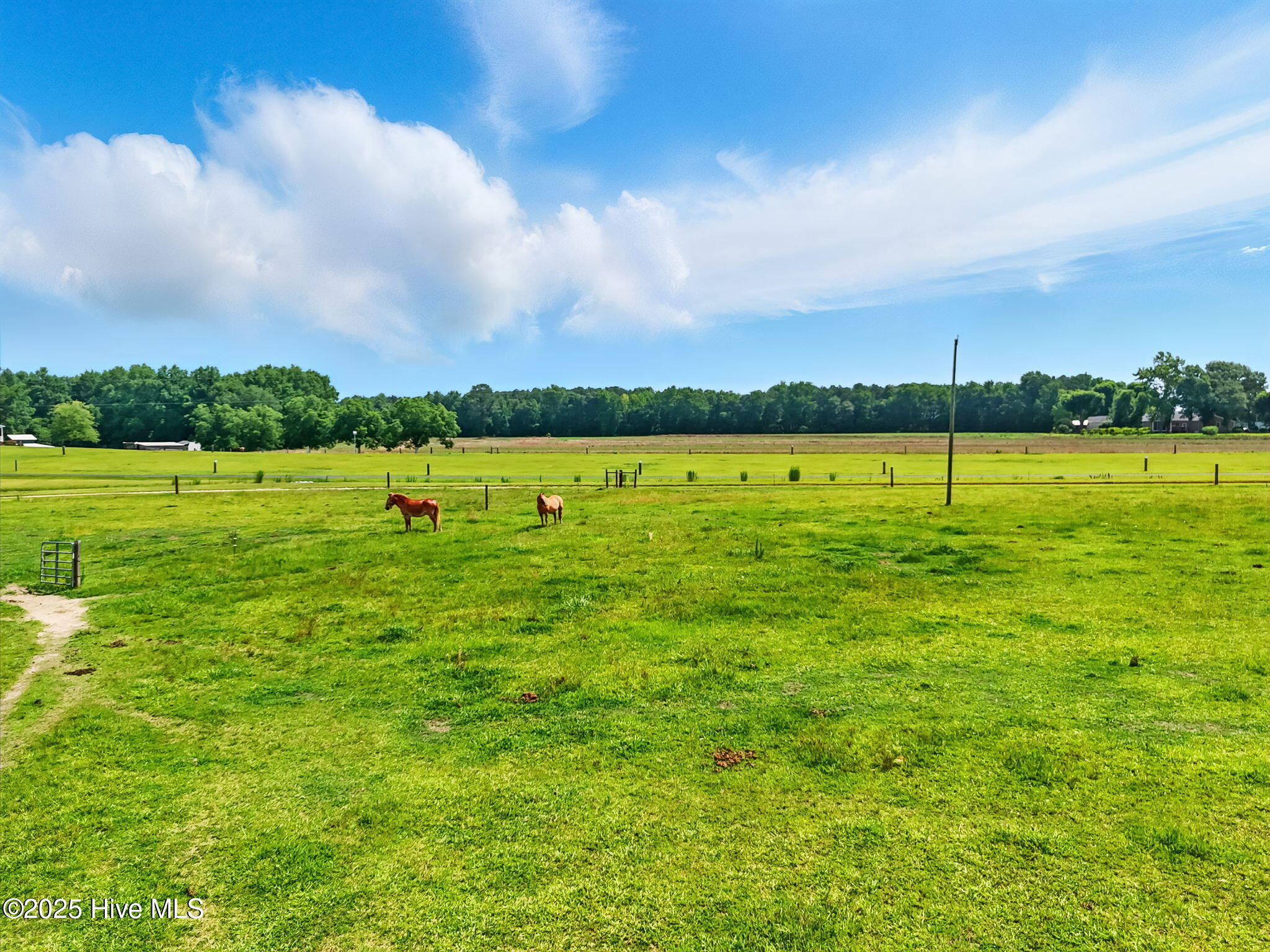 2620 Nahunta Road Property Photo 33