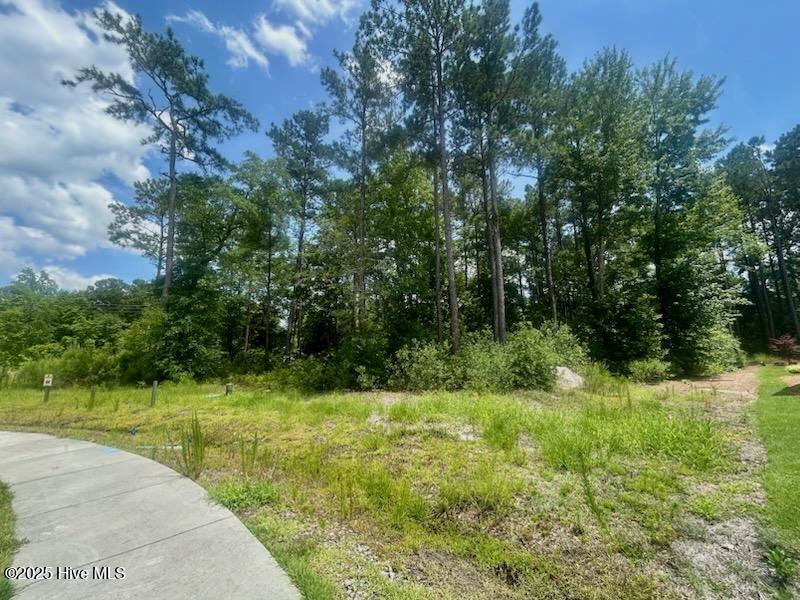 1632 Osprey Cove Court Property Photo 1