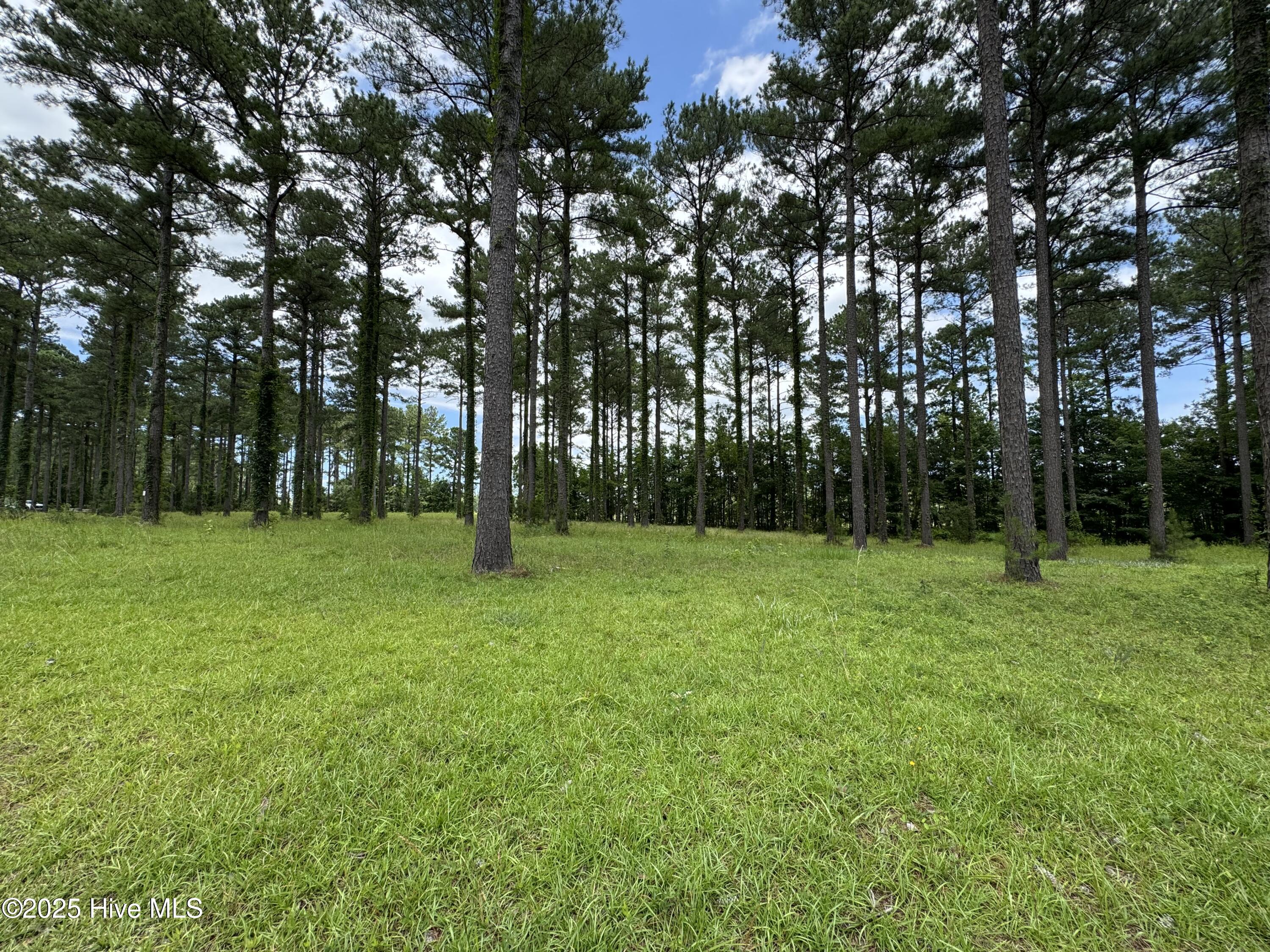 23 Bald Head Island Court Property Photo 3