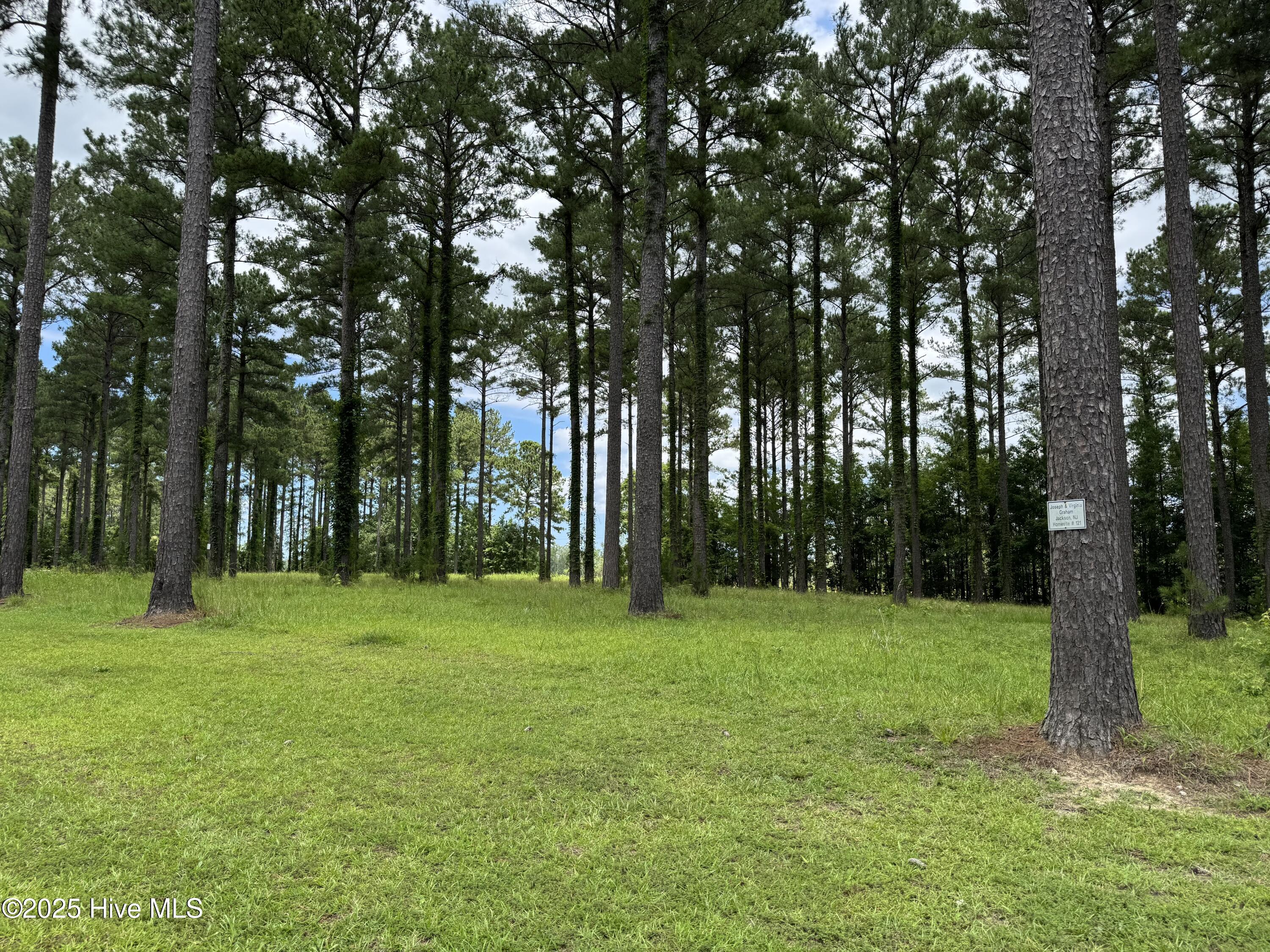 23 Bald Head Island Court Property Photo 4