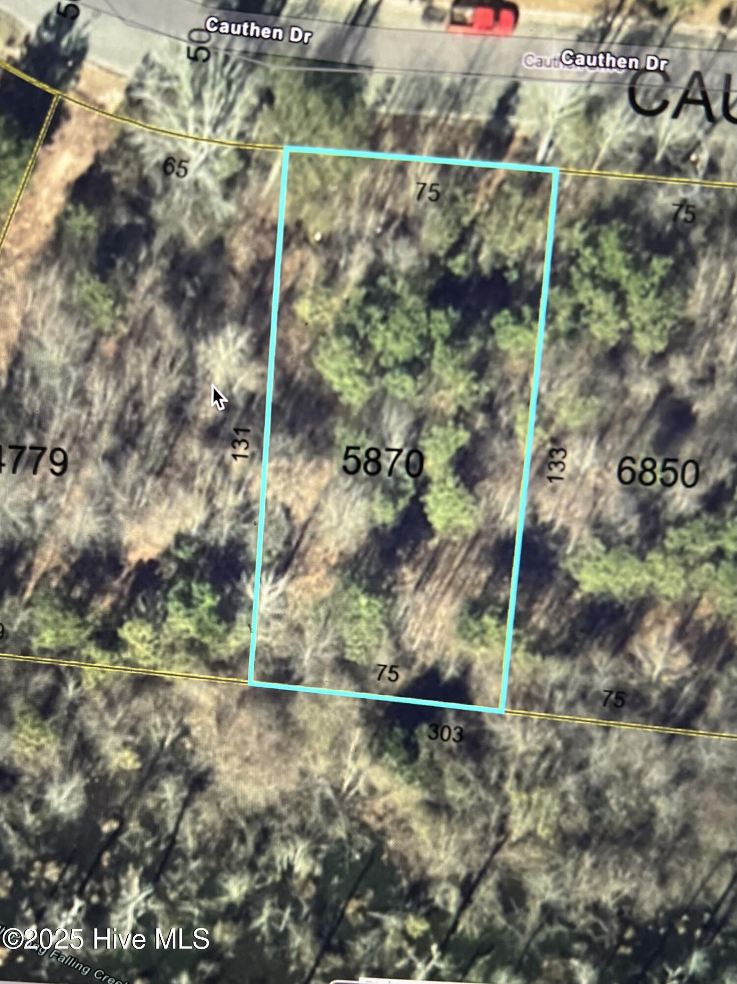 41 Cauthen Drive Property Photo 2