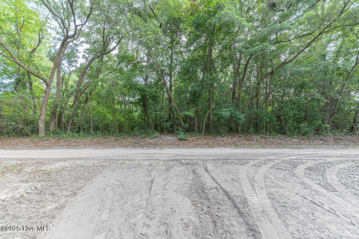 Tract 200a Padrick Lane Property Photo 4