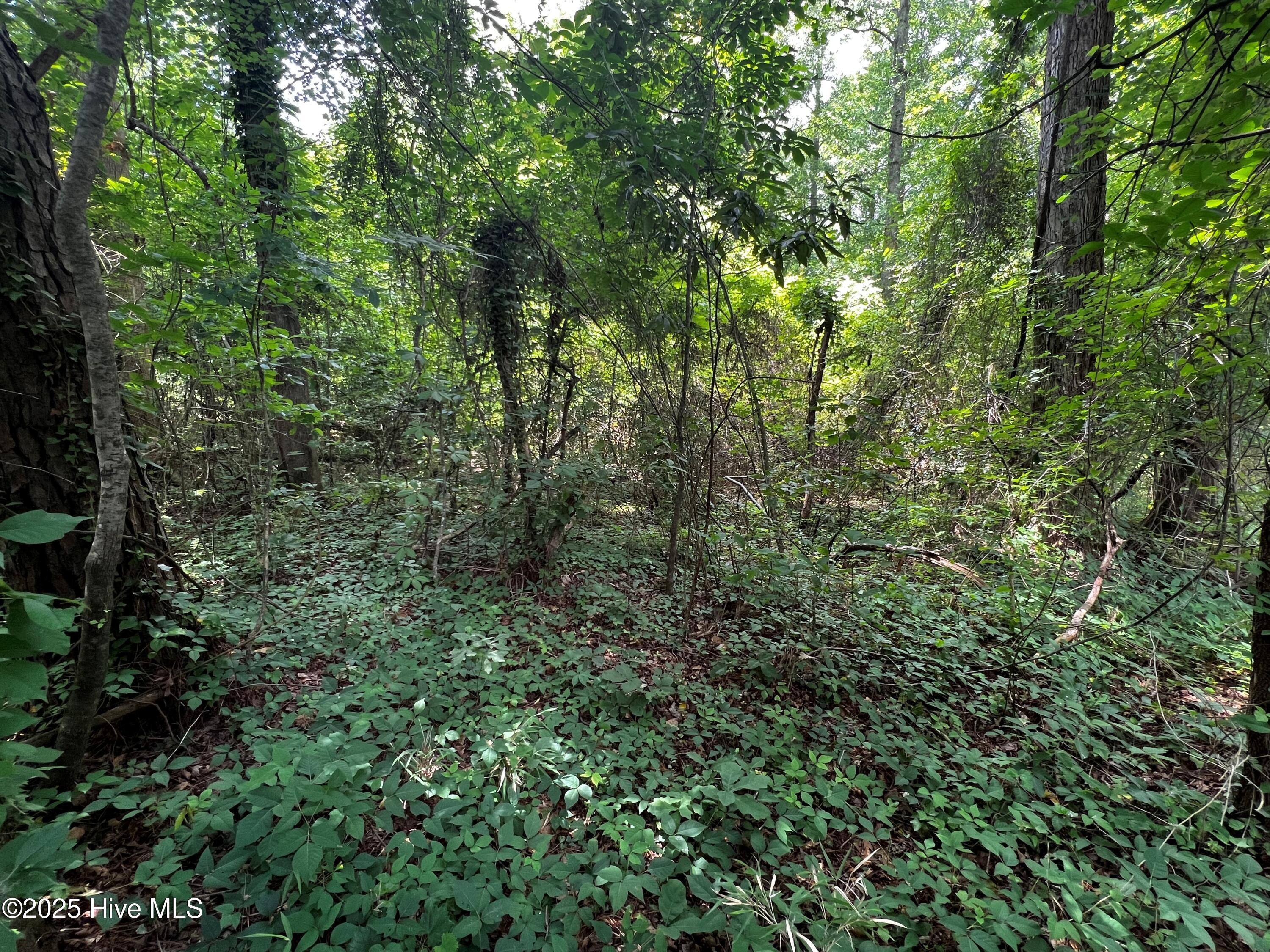 25 & 26 Sr 1184 Road Property Photo 1