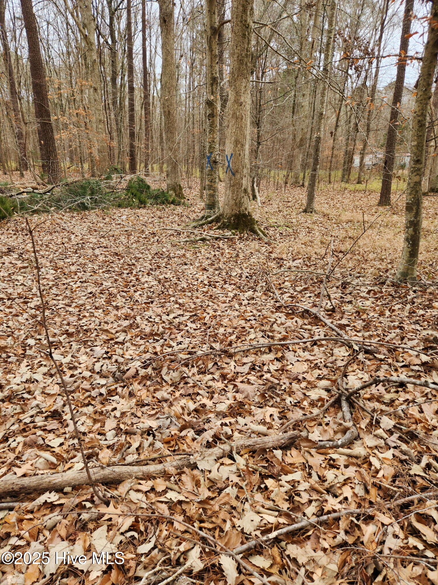 146 Tranquility Lane Property Photo 1