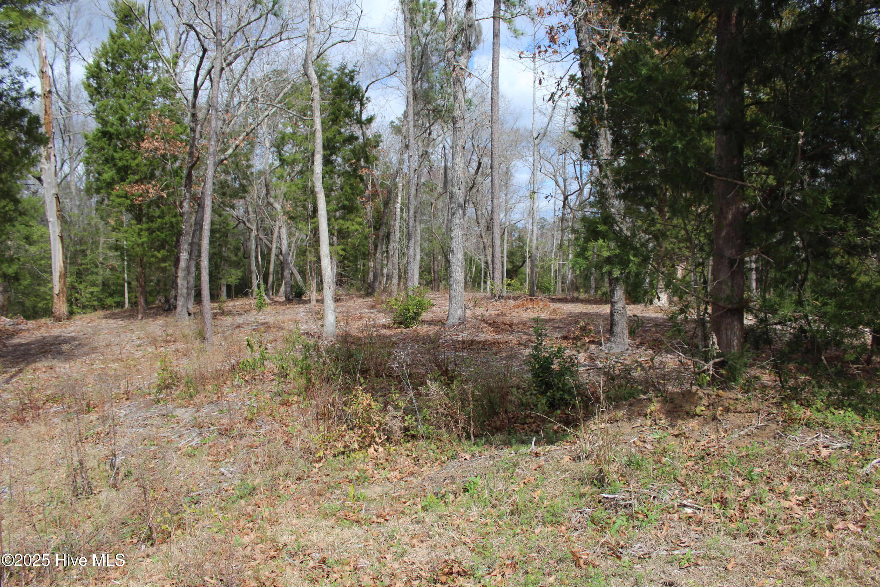 125 Wainwright Court Property Photo 1
