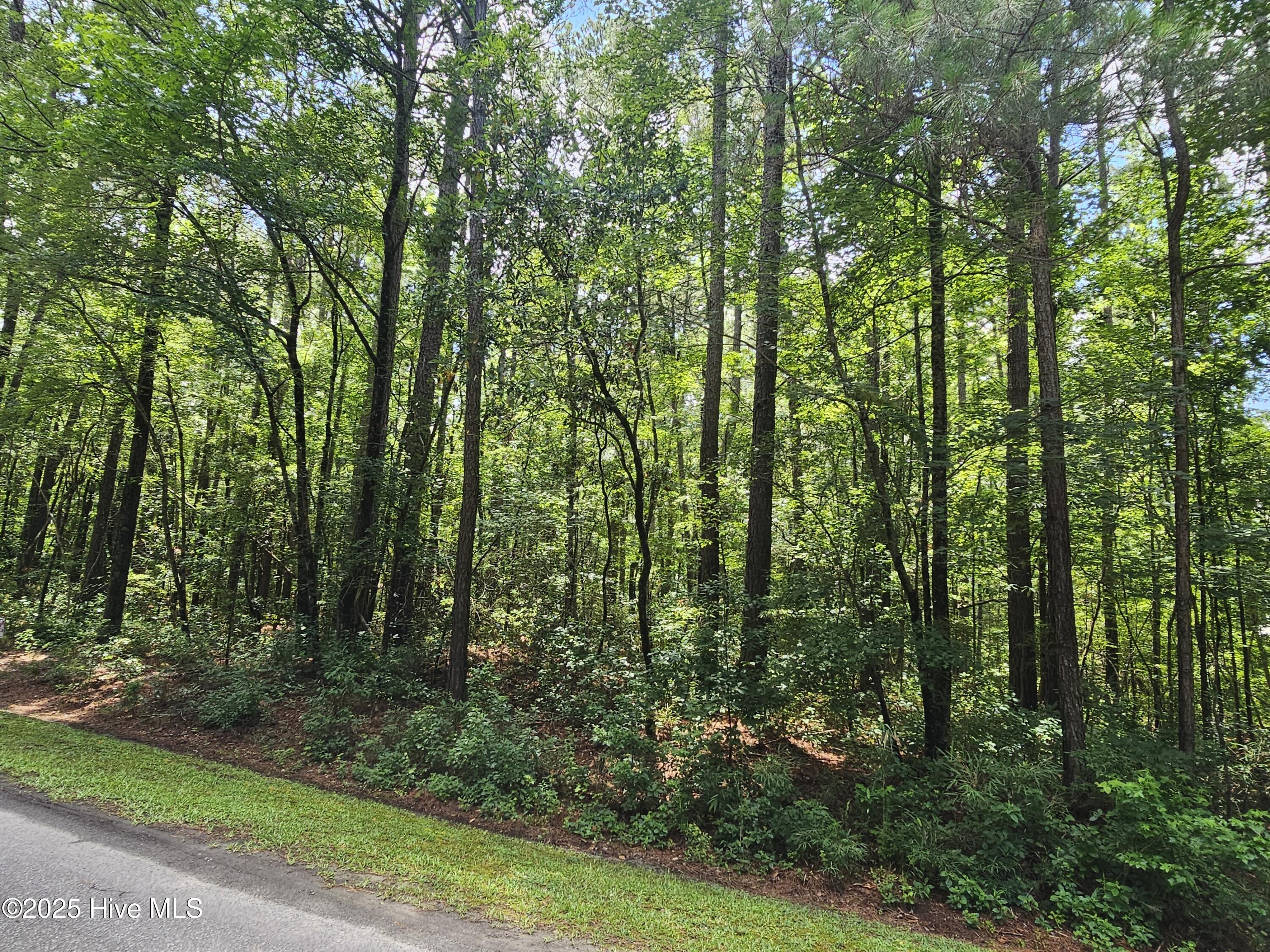 1429 Forest Acres Drive Property Photo 1