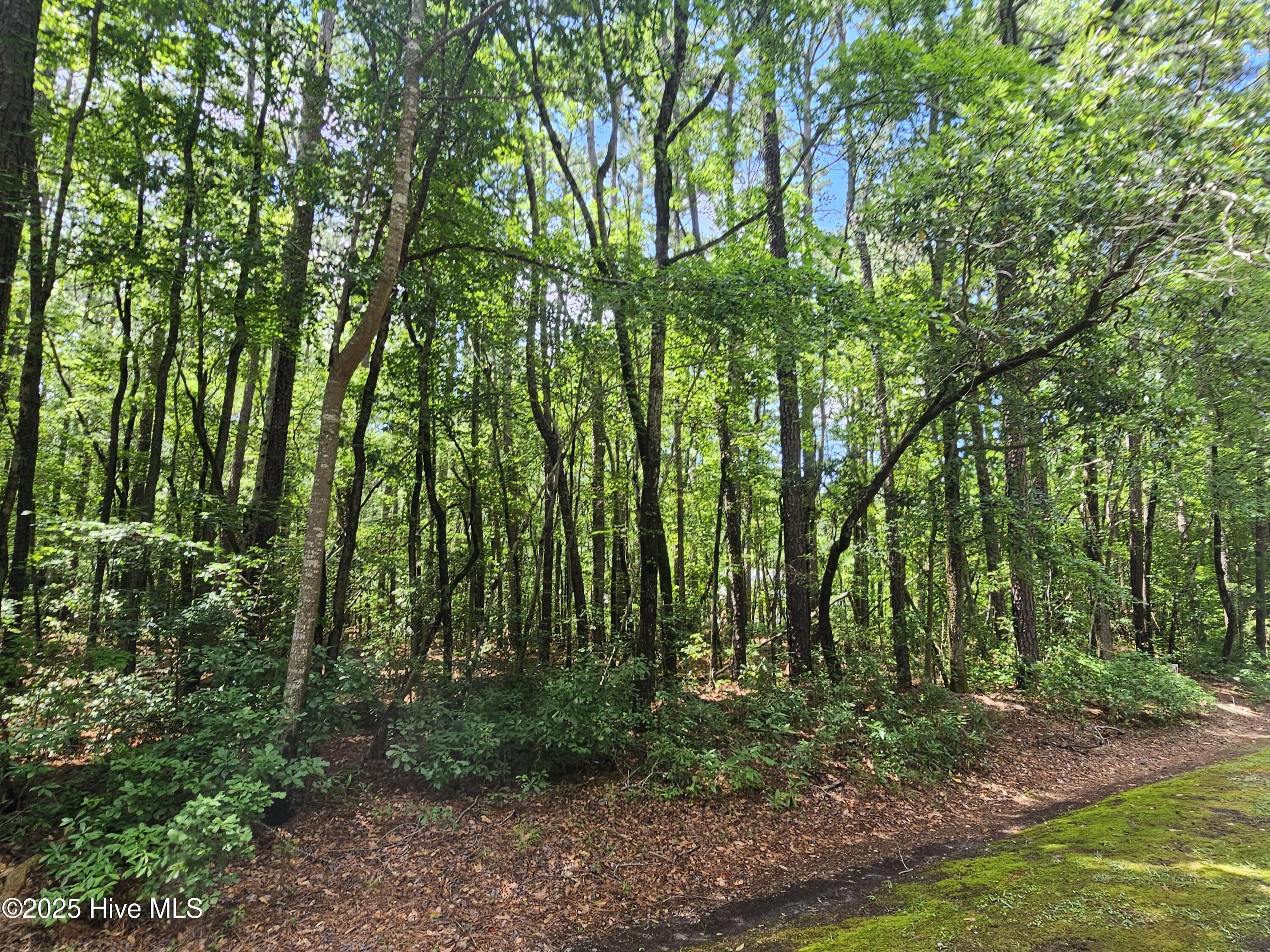 1429 Forest Acres Drive Property Photo 4