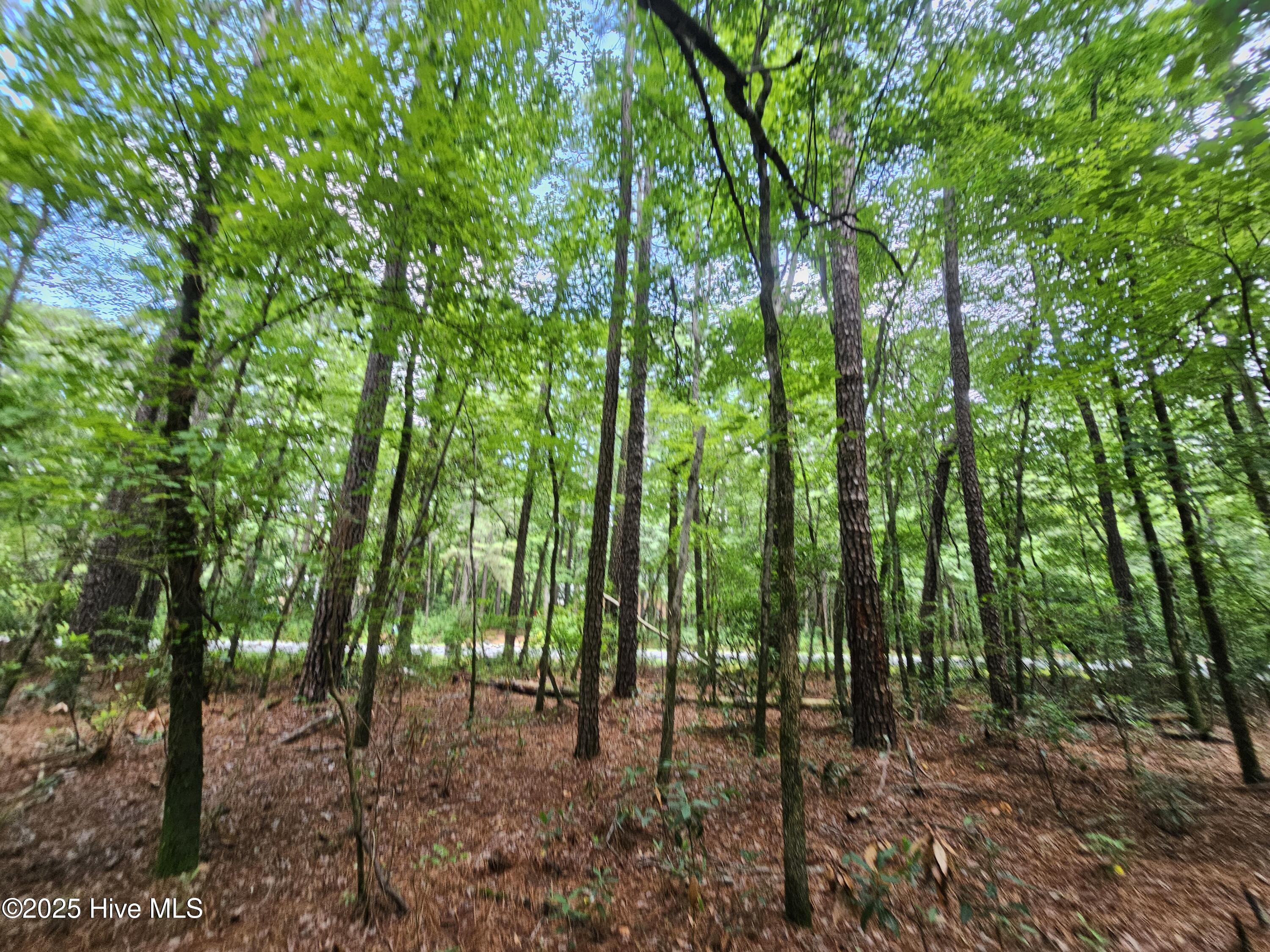 1429 Forest Acres Drive Property Photo 5