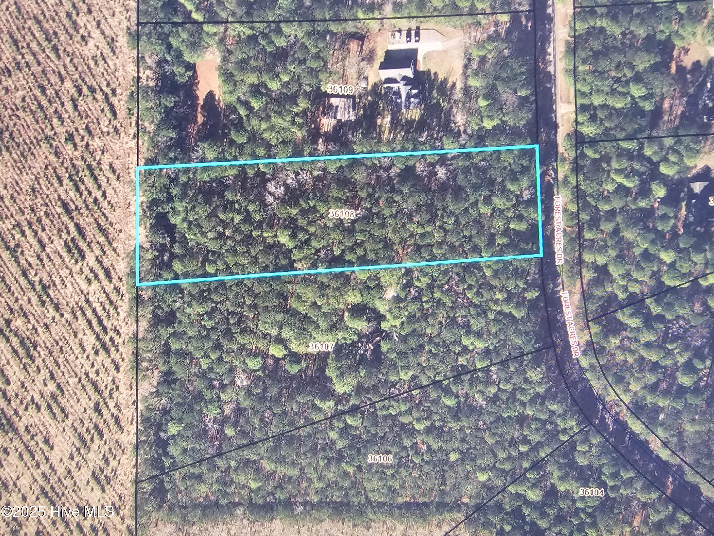 1429 Forest Acres Drive Property Photo 9