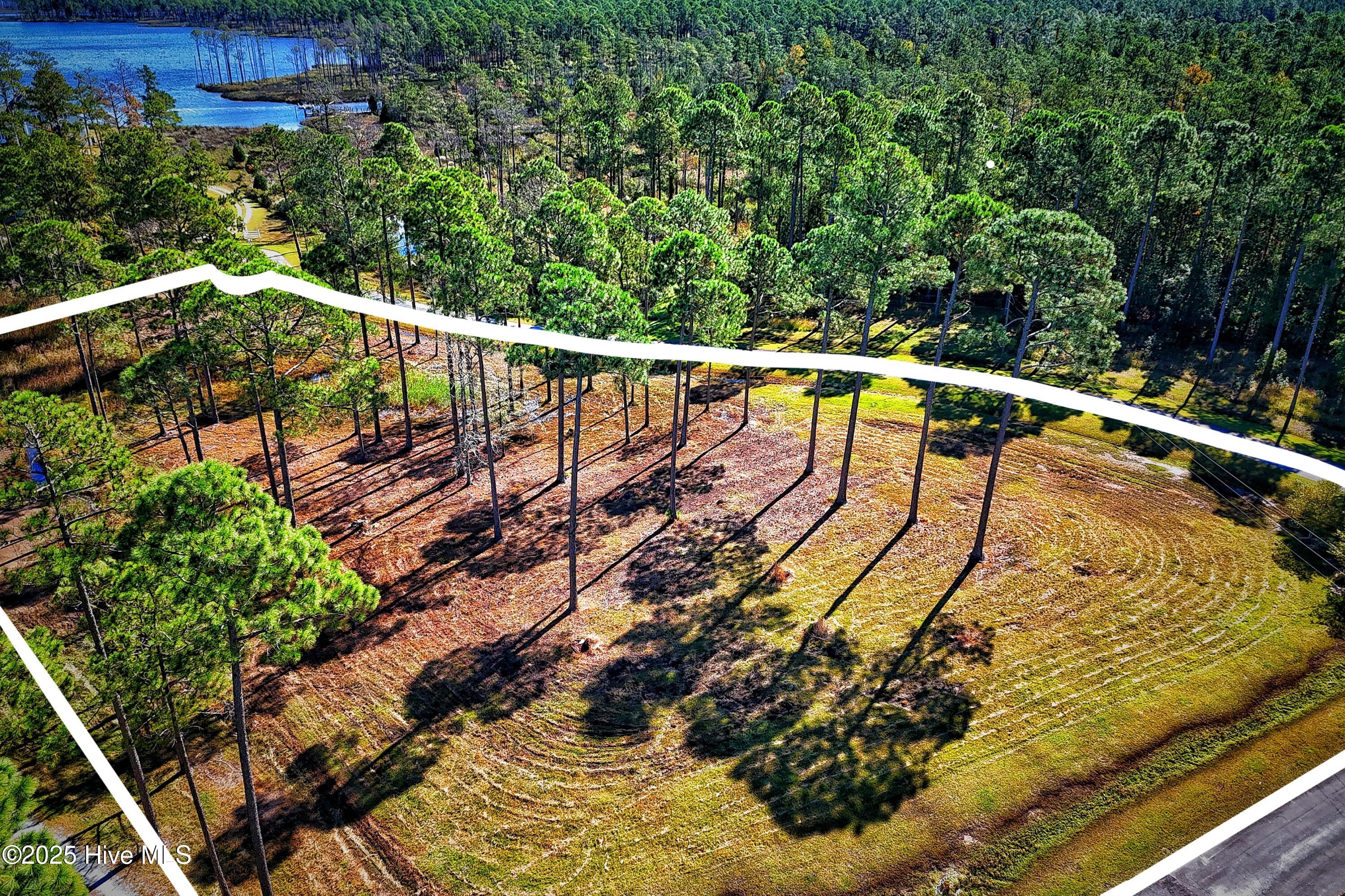 103 Inverness Point Property Photo 21