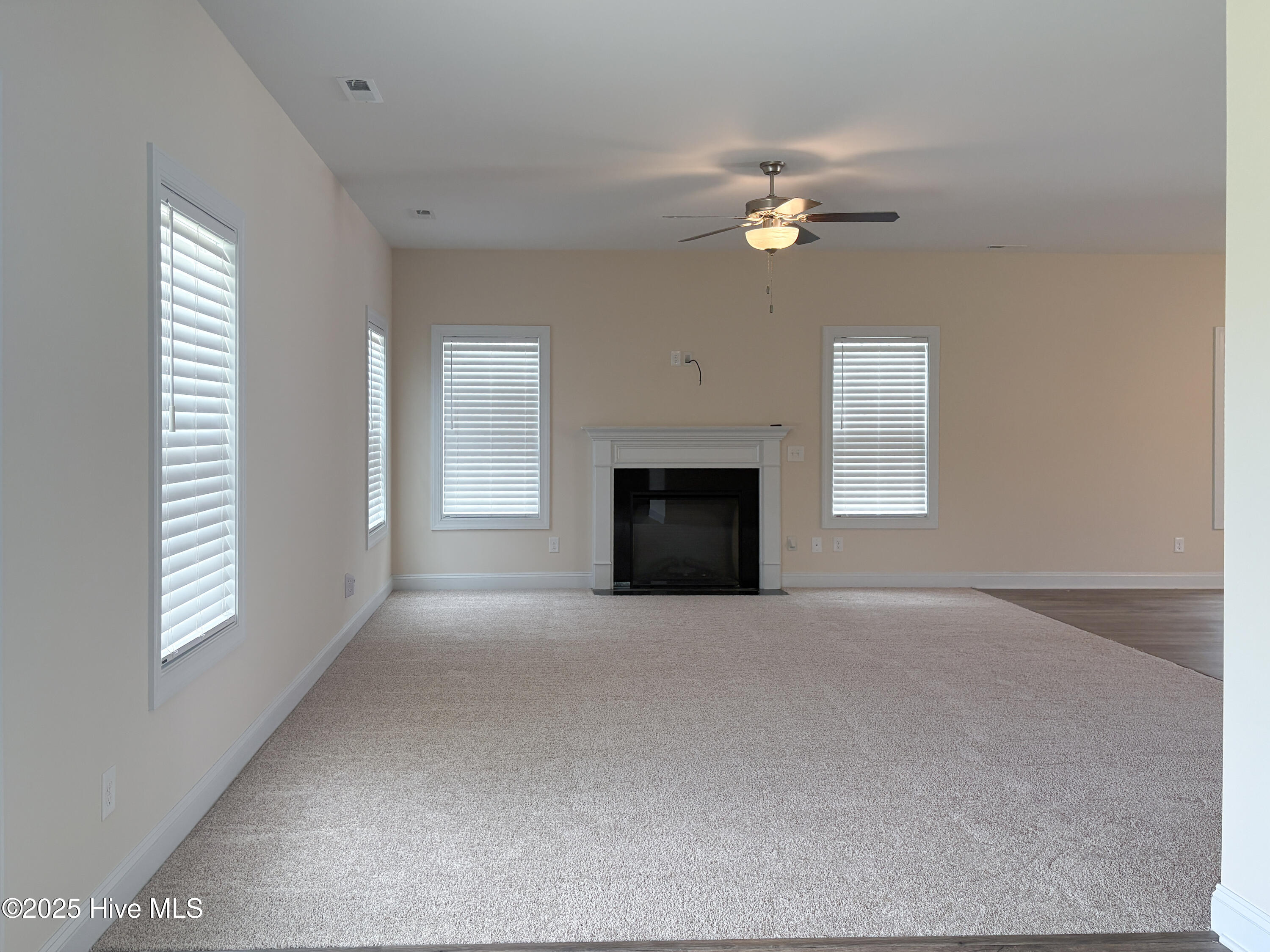 324 Windmill Light Way Property Photo 19