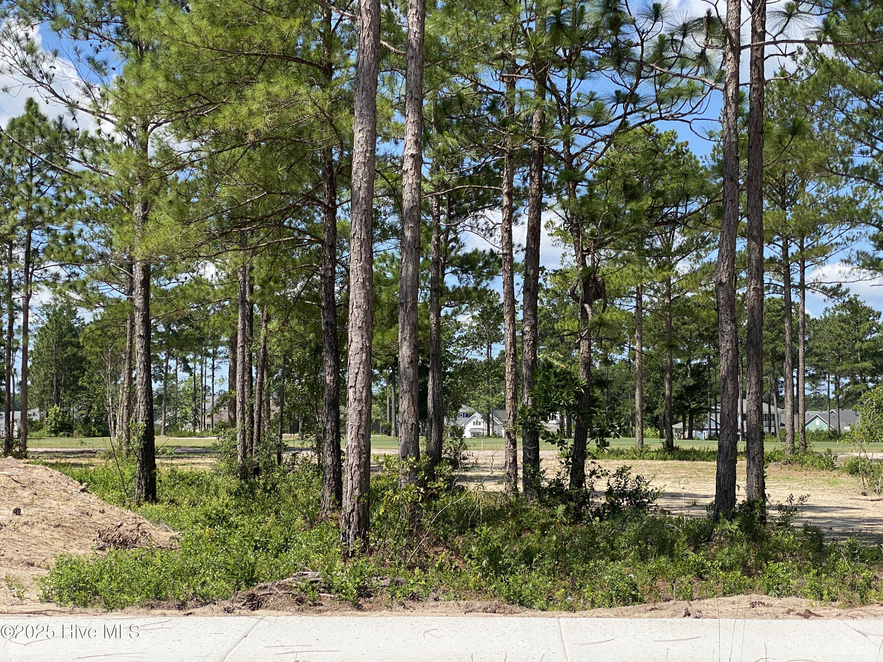 8743 Compass Pointe West Wynd Property Photo 1