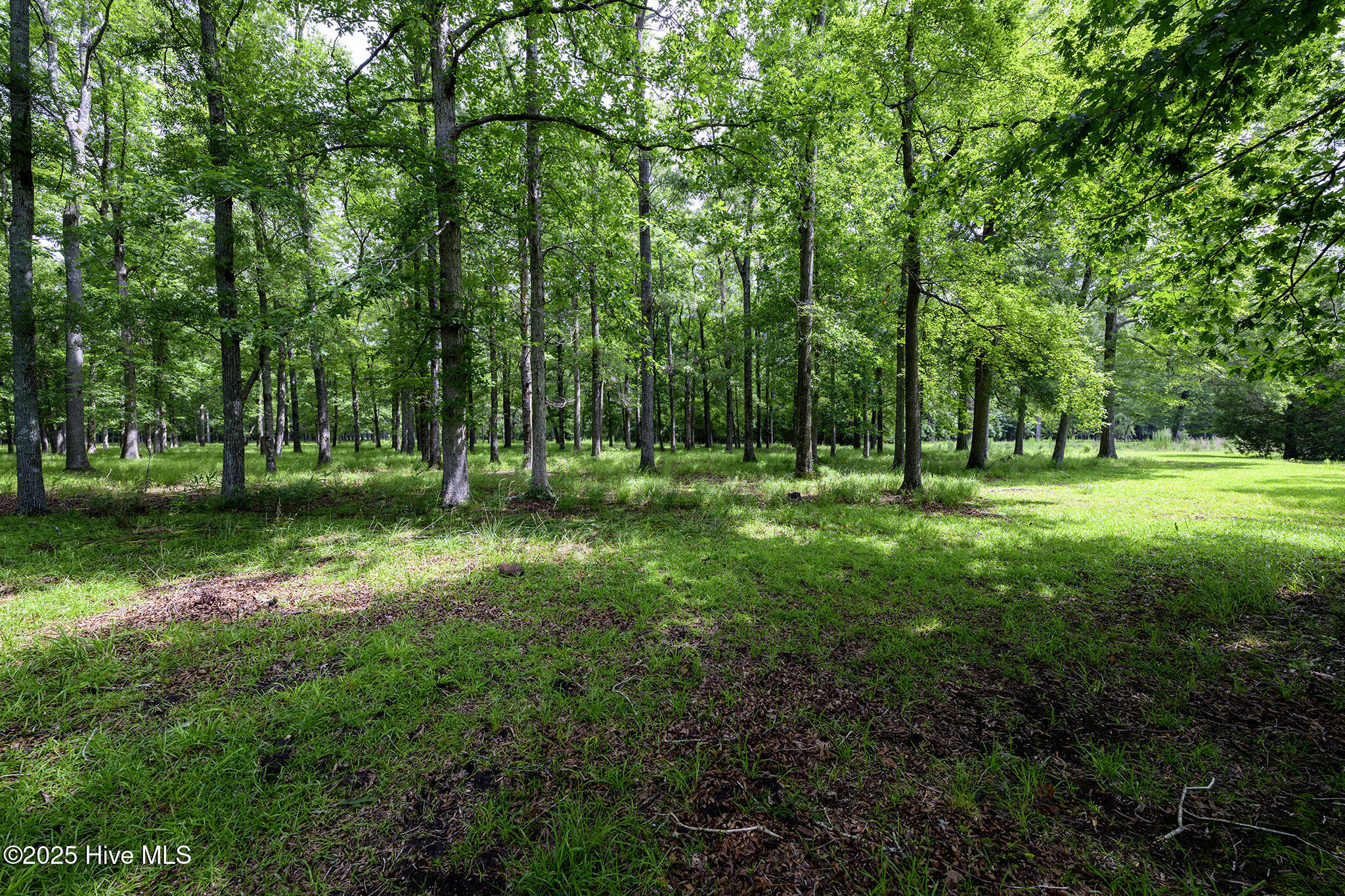 205 Hudnell Road Property Photo 6