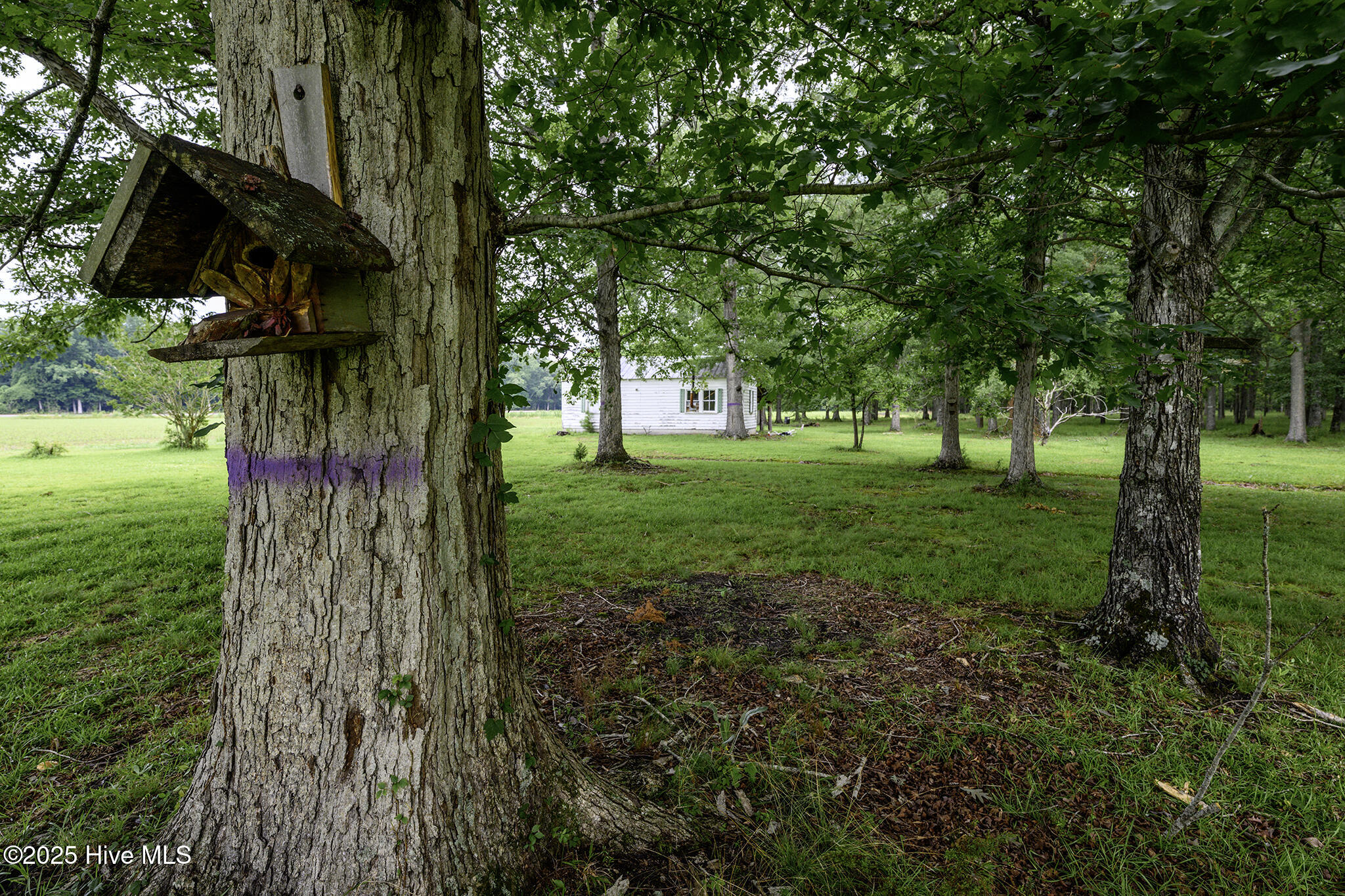 205 Hudnell Road Property Photo 58