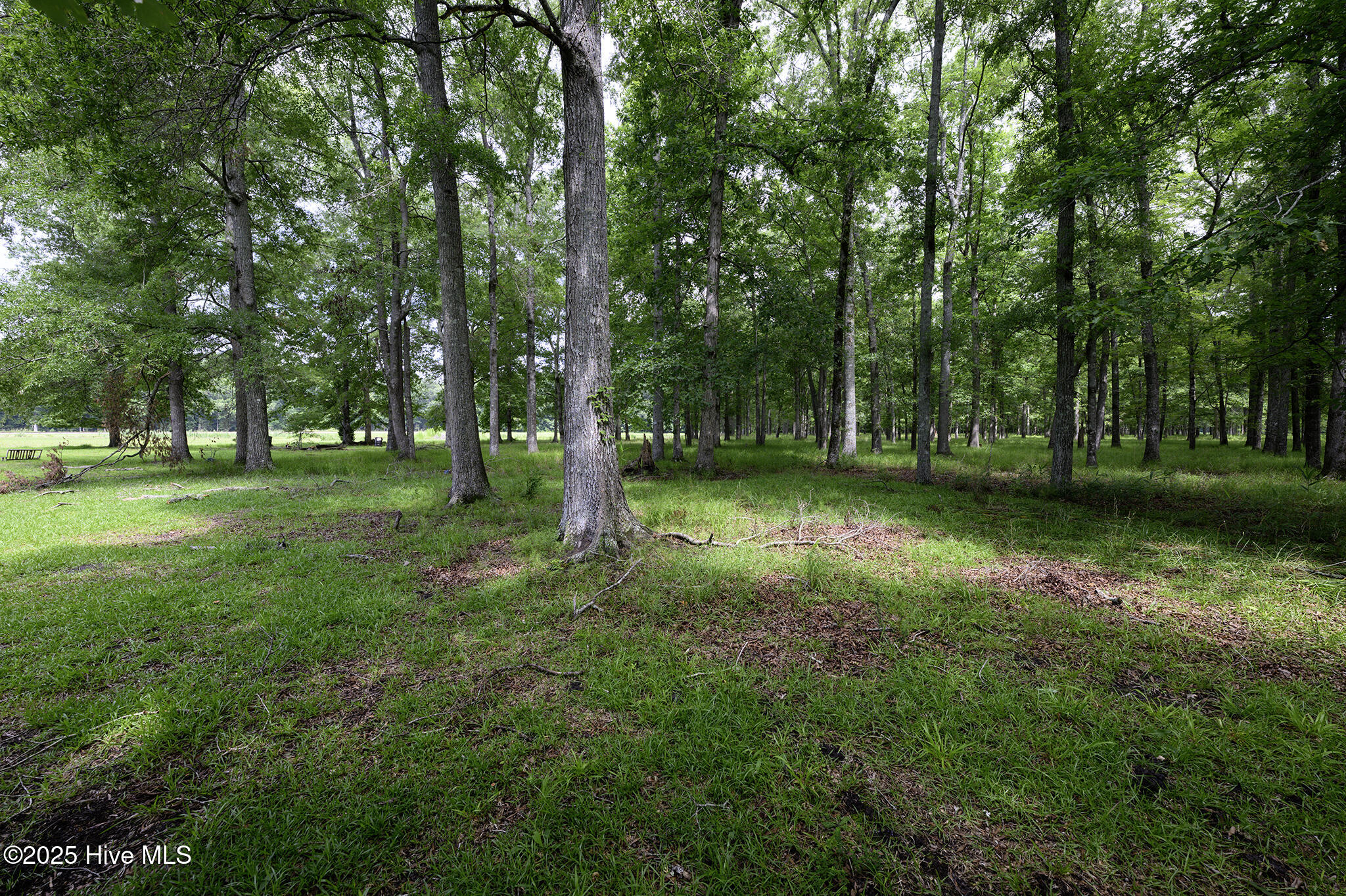 205 Hudnell Road Property Photo 62