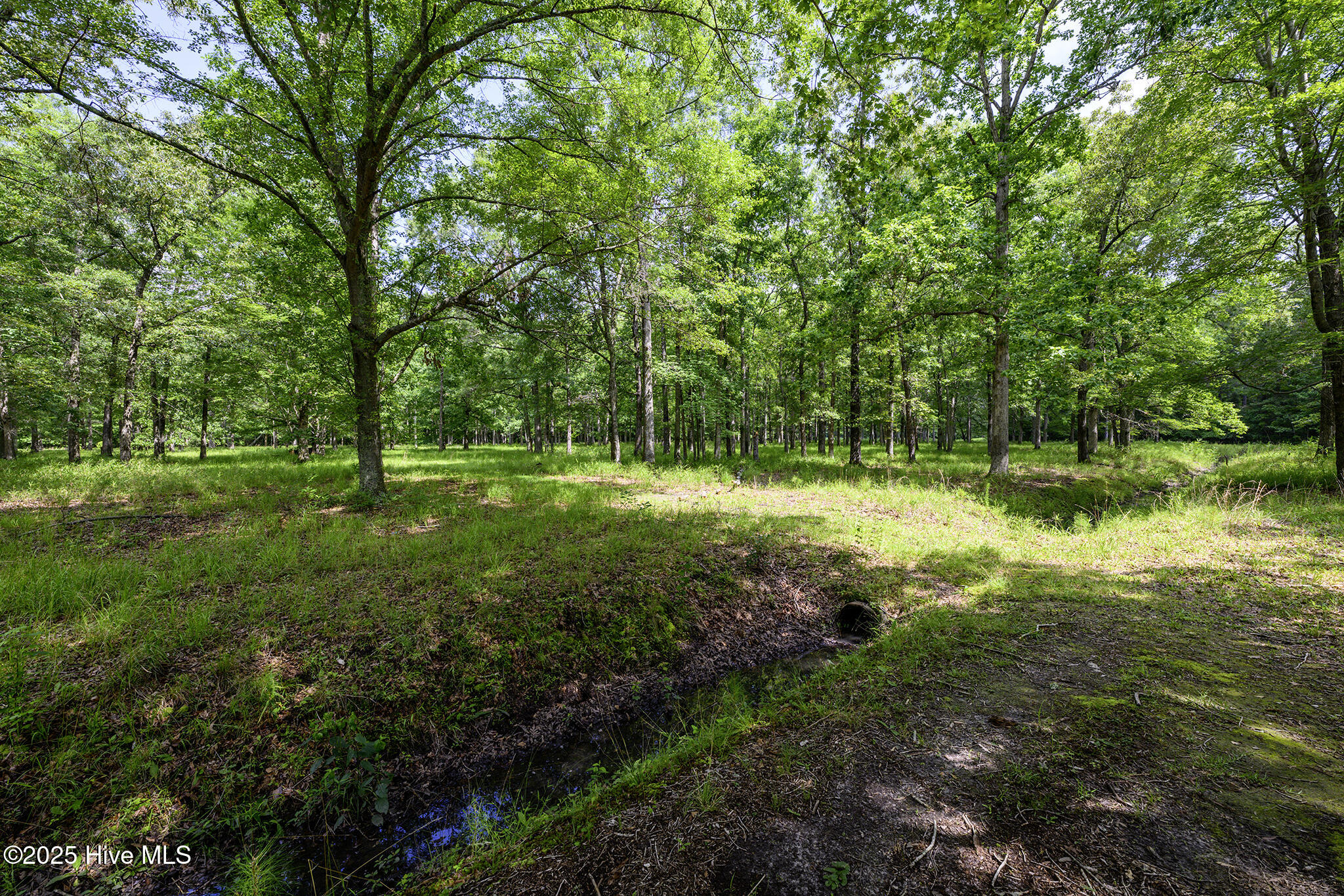 205 Hudnell Road Property Photo 63