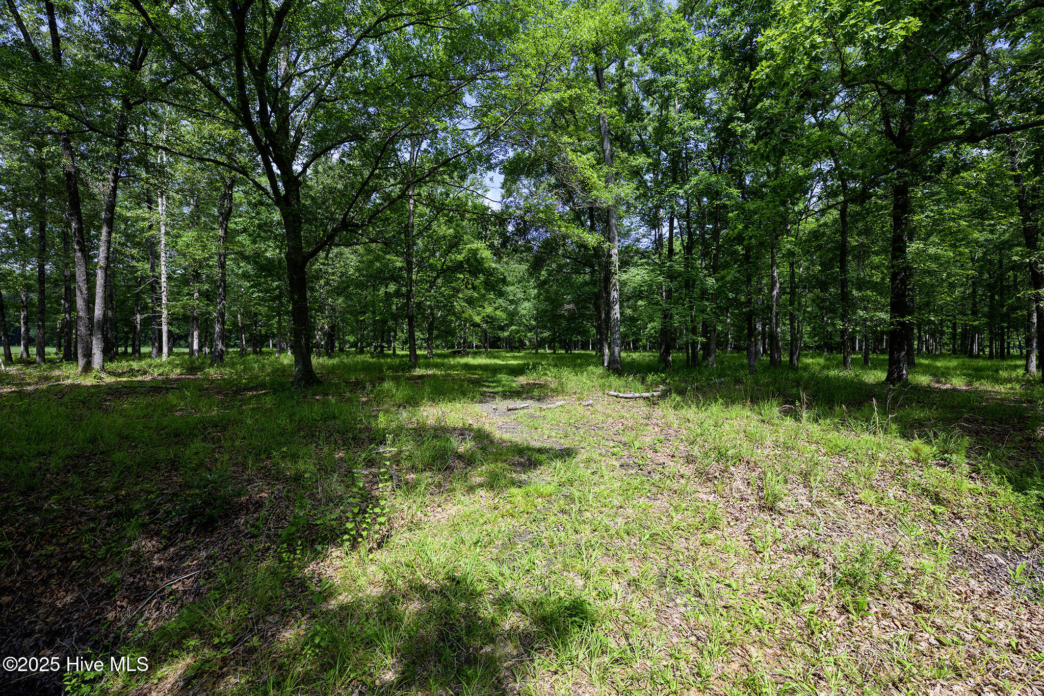 205 Hudnell Road Property Photo 64