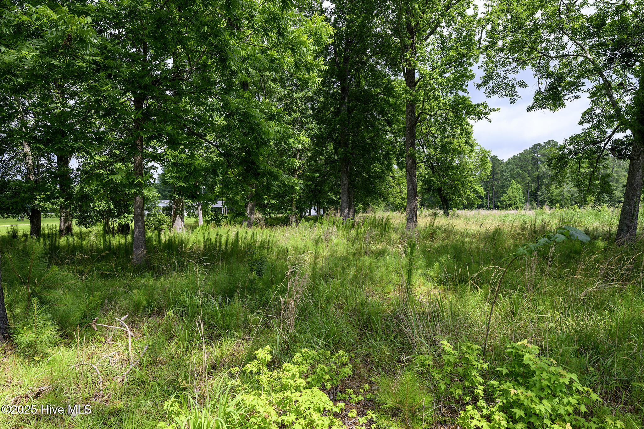 205 Hudnell Road Property Photo 67