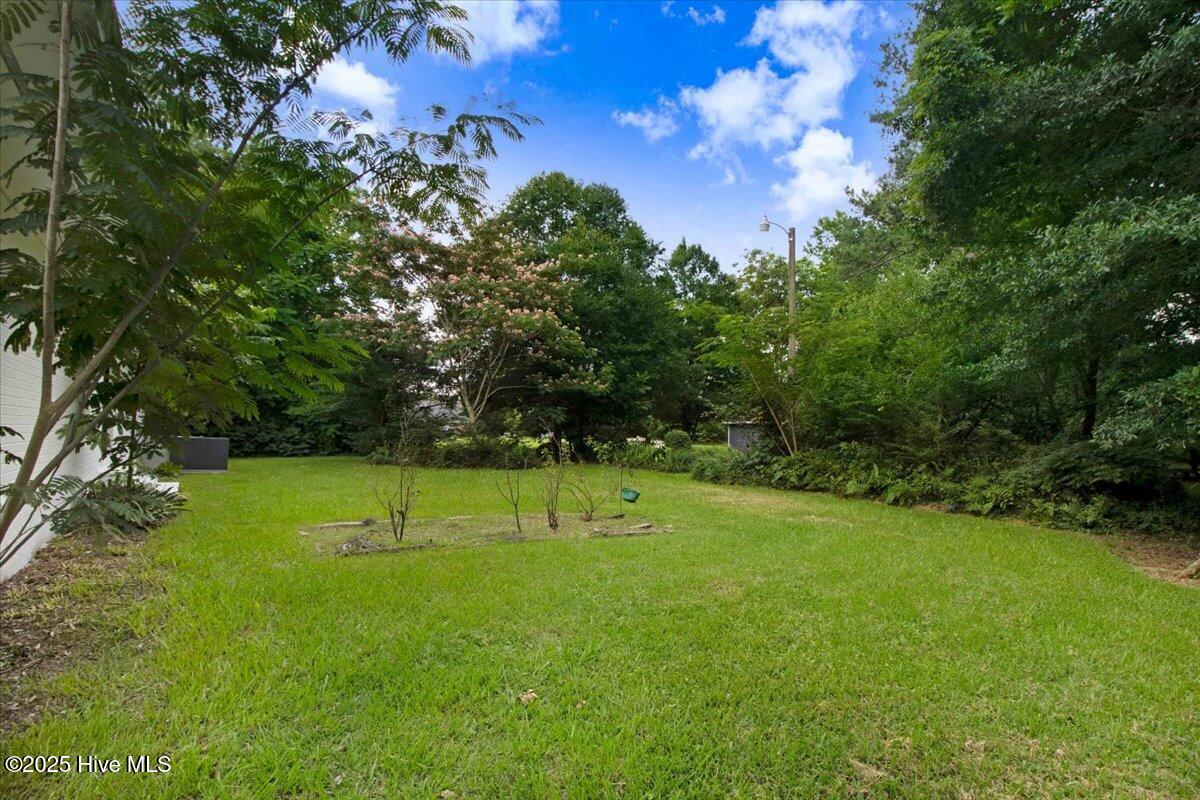 527 W College Street Property Photo 8