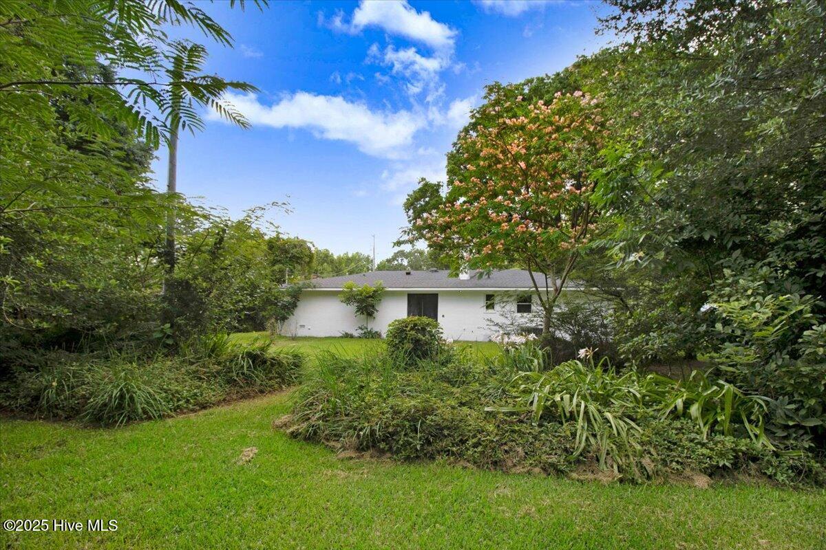 527 W College Street Property Photo 12