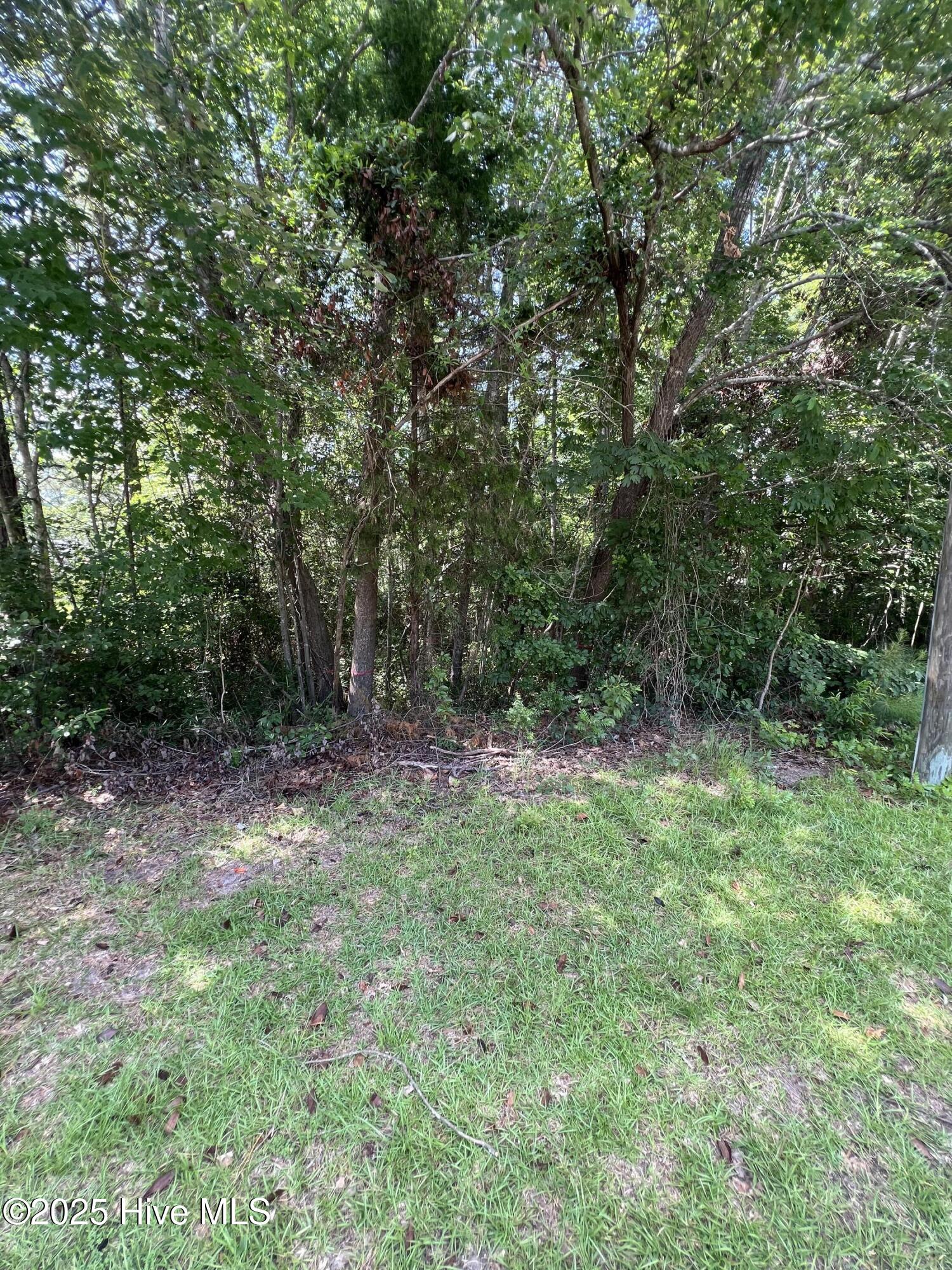 301 Spring Lake Drive Property Photo 1