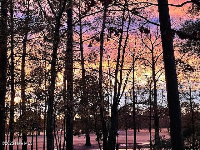 1514 Grandiflora Drive Property Photo 67