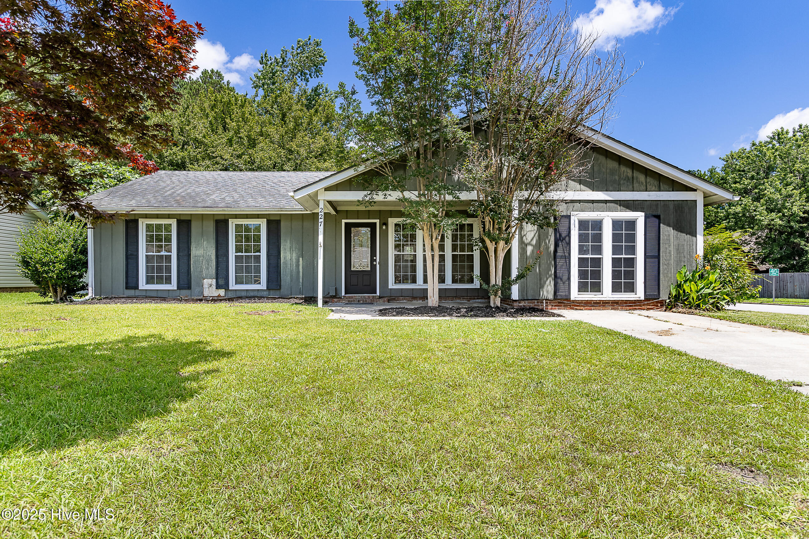 227 Branchwood Drive Property Photo 1