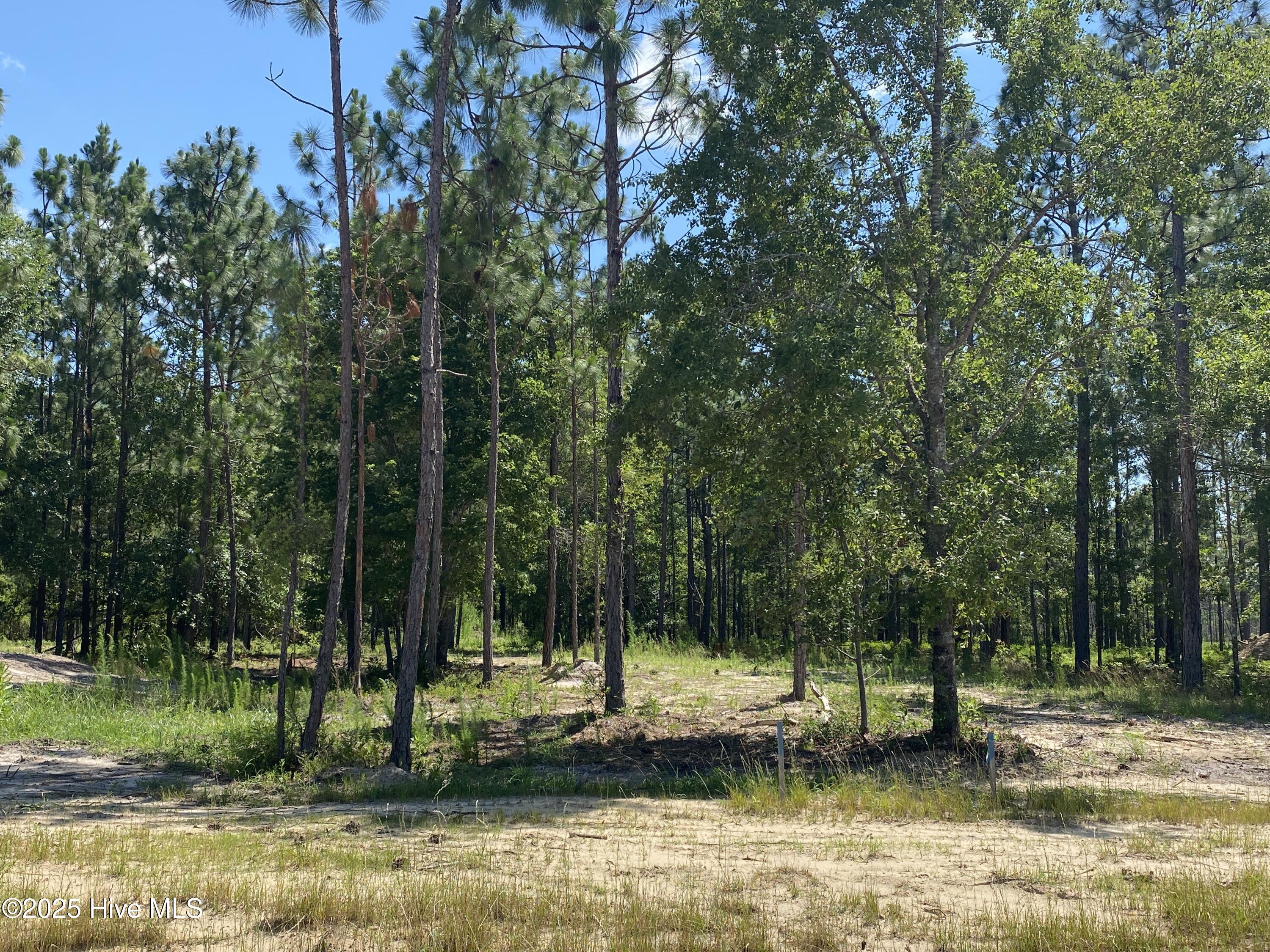 8738 Compass Pointe West Wynd Property Photo 1