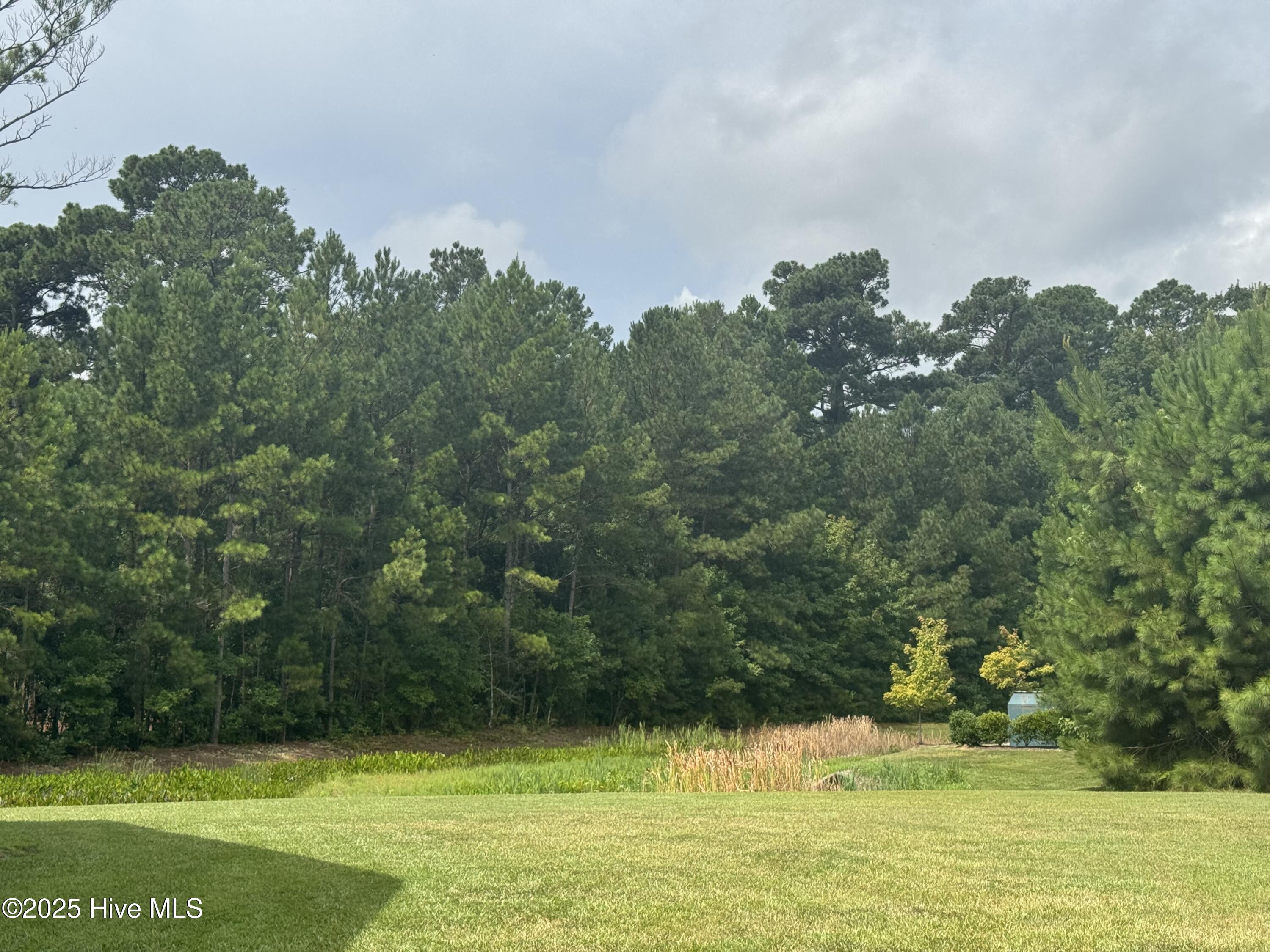 2232 Brookville Drive A Property Photo 6