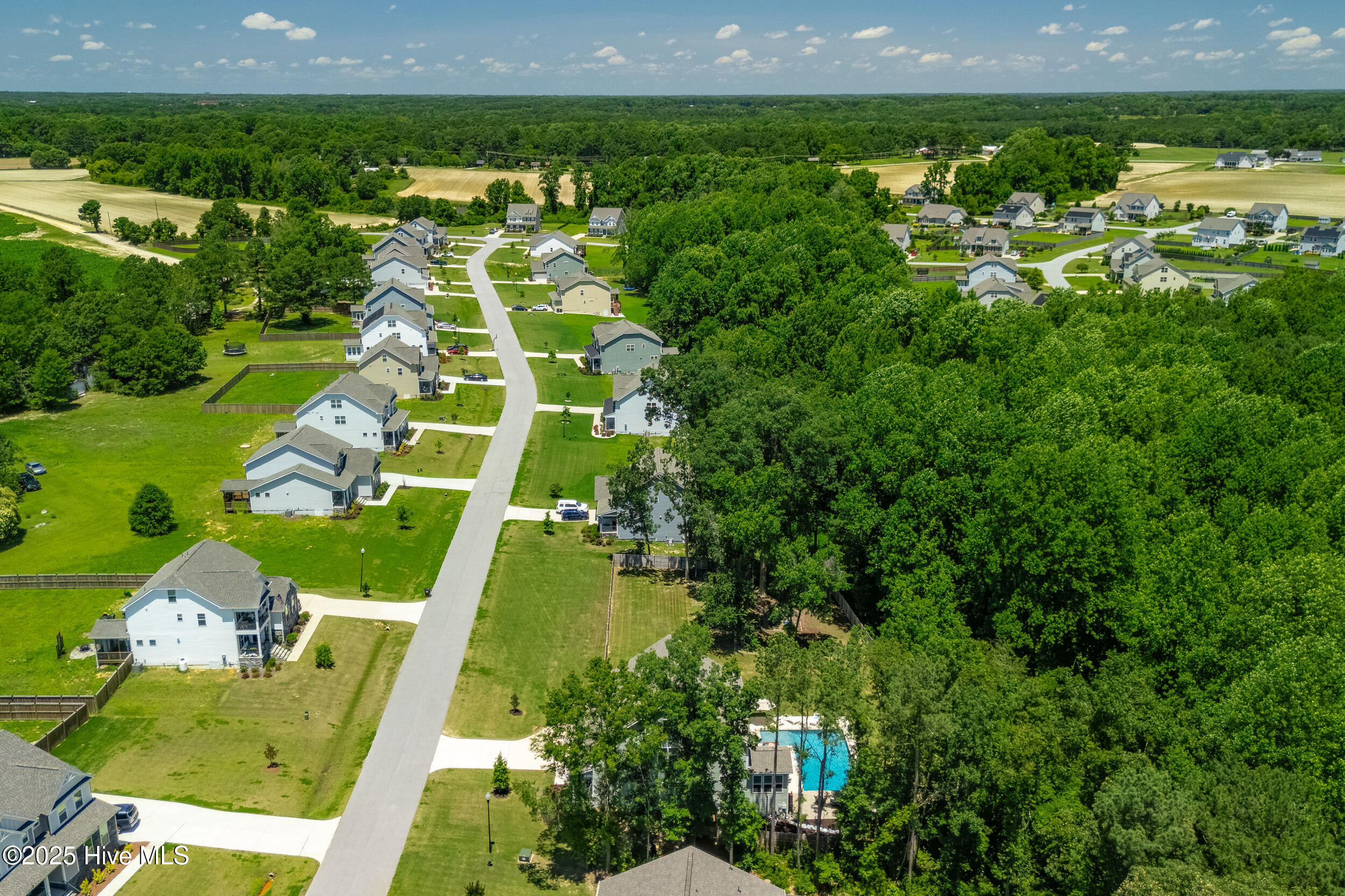 8341 Running Fern Way Property Photo 62