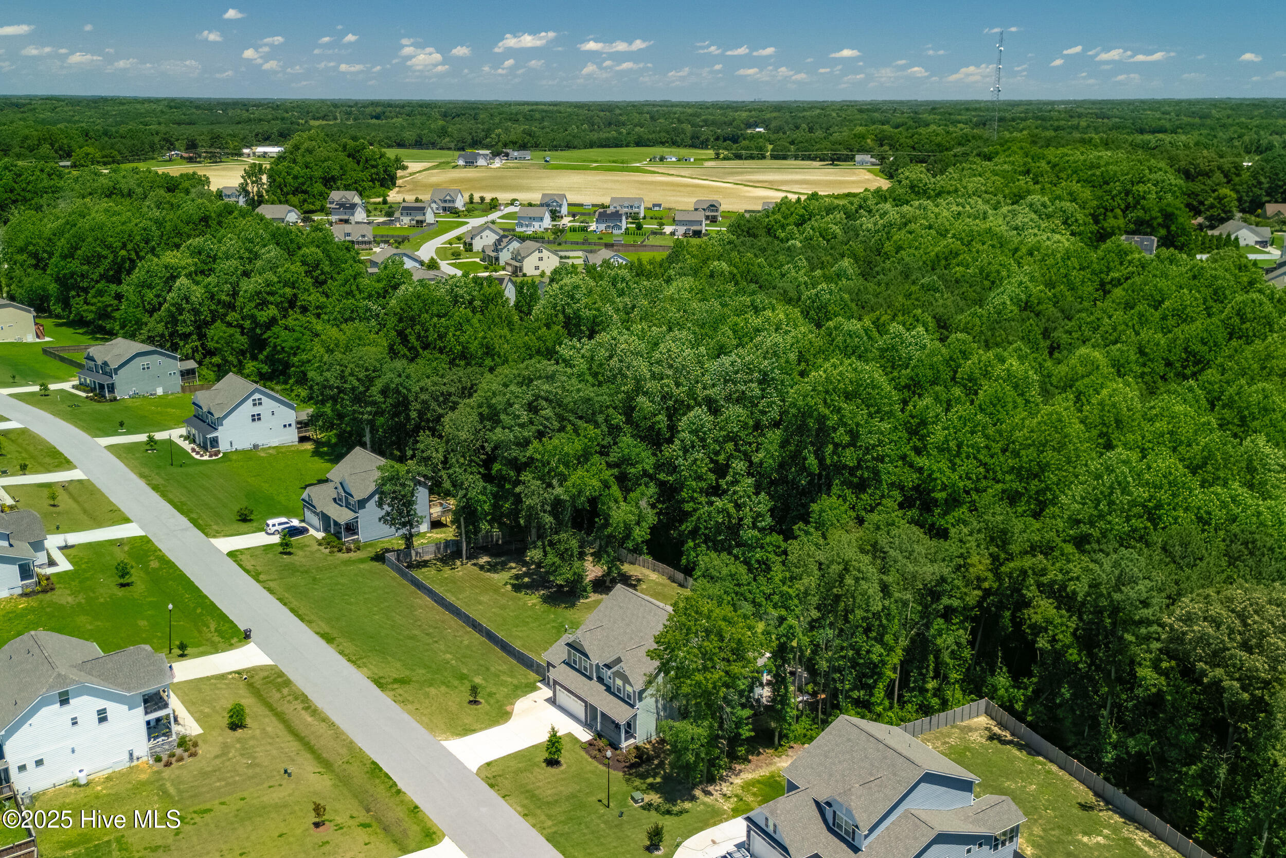 8341 Running Fern Way Property Photo 63