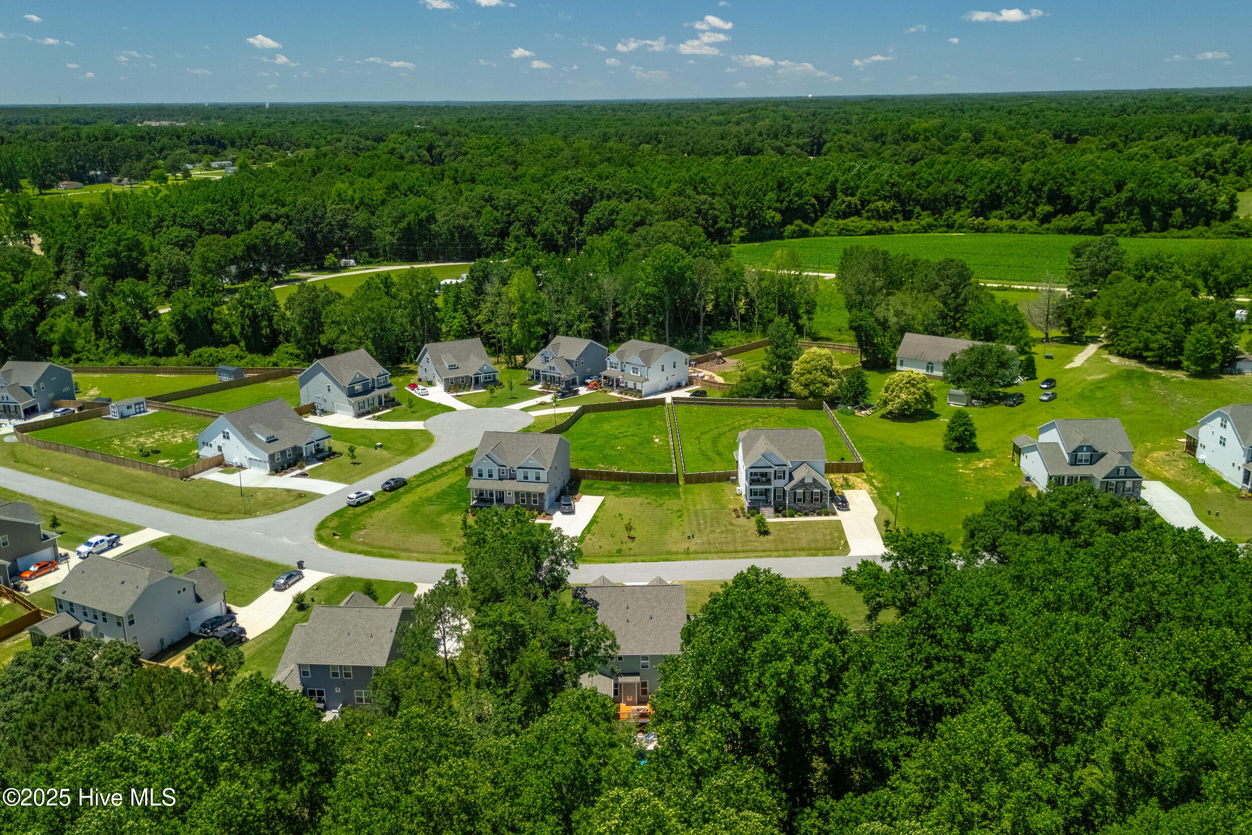 8341 Running Fern Way Property Photo 64