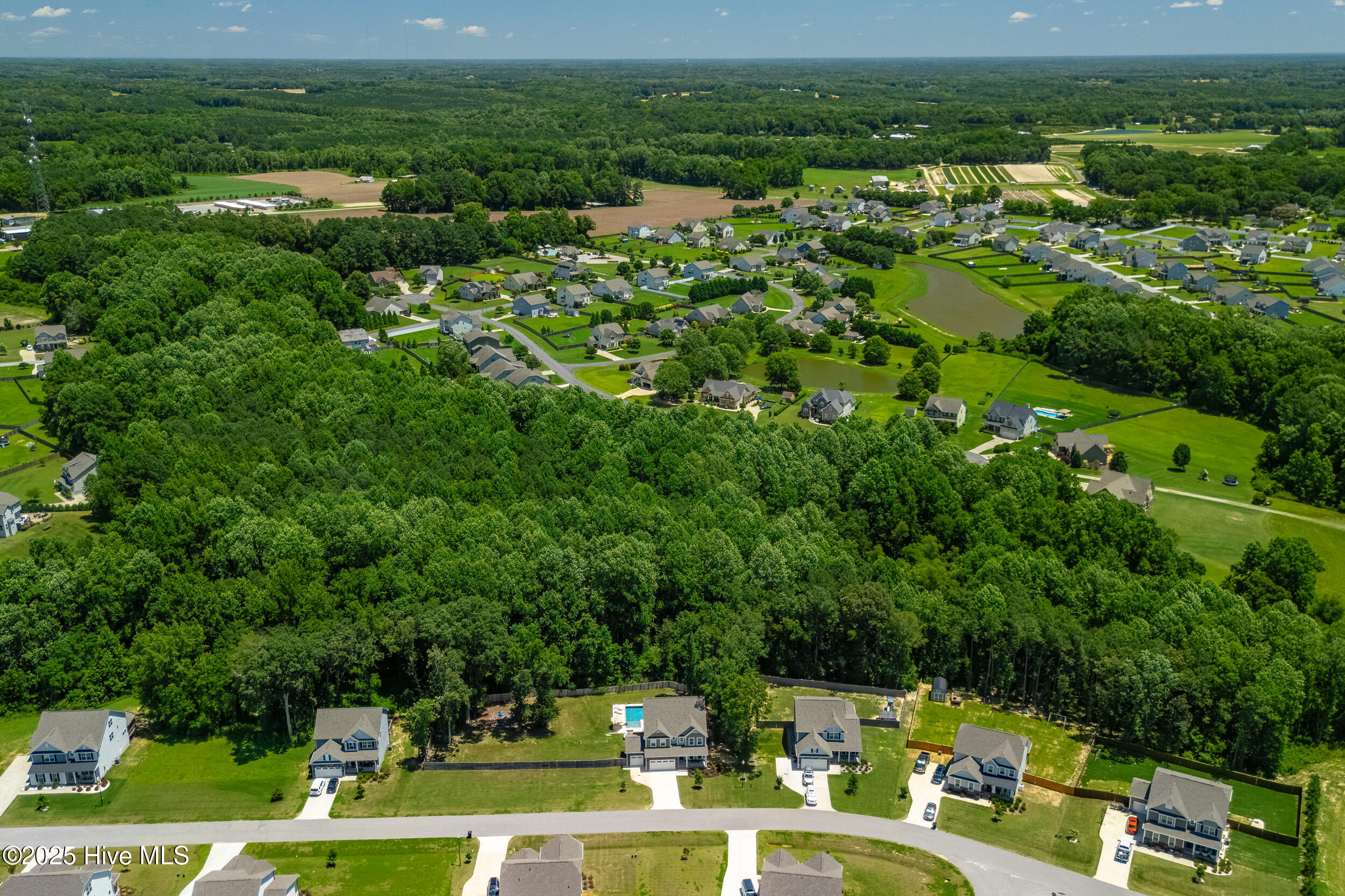 8341 Running Fern Way Property Photo 66